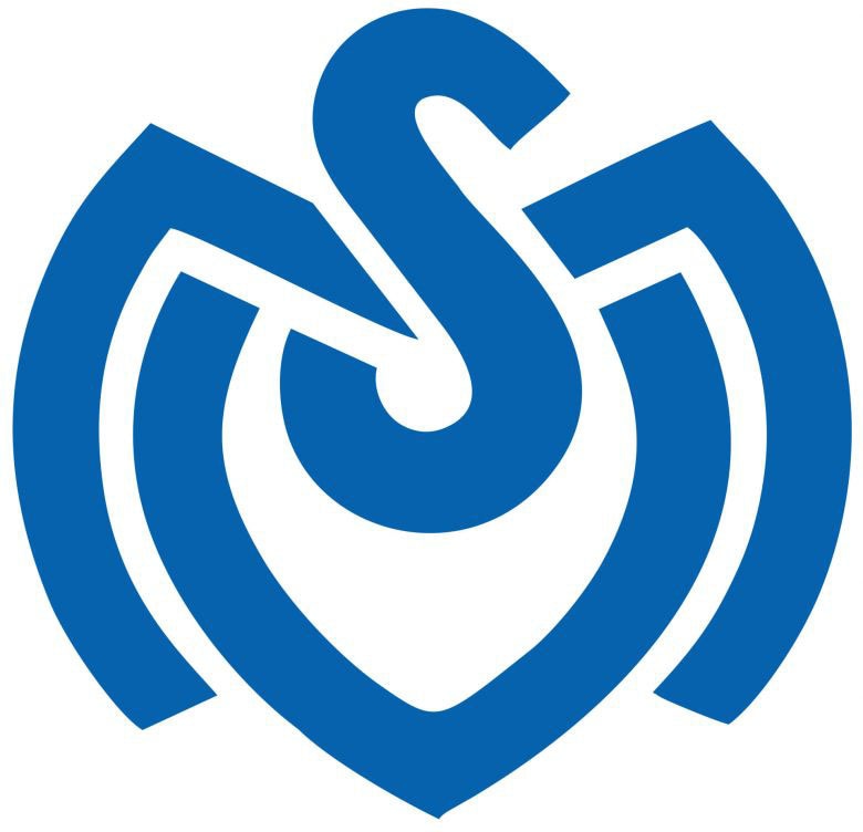 Wall-Art Wandtattoo »MSV Duisburg Retro Logo« (...