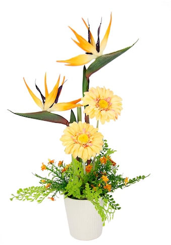 I.GE.A. Kunstblume »Arrangement Strelitzie/Ger...