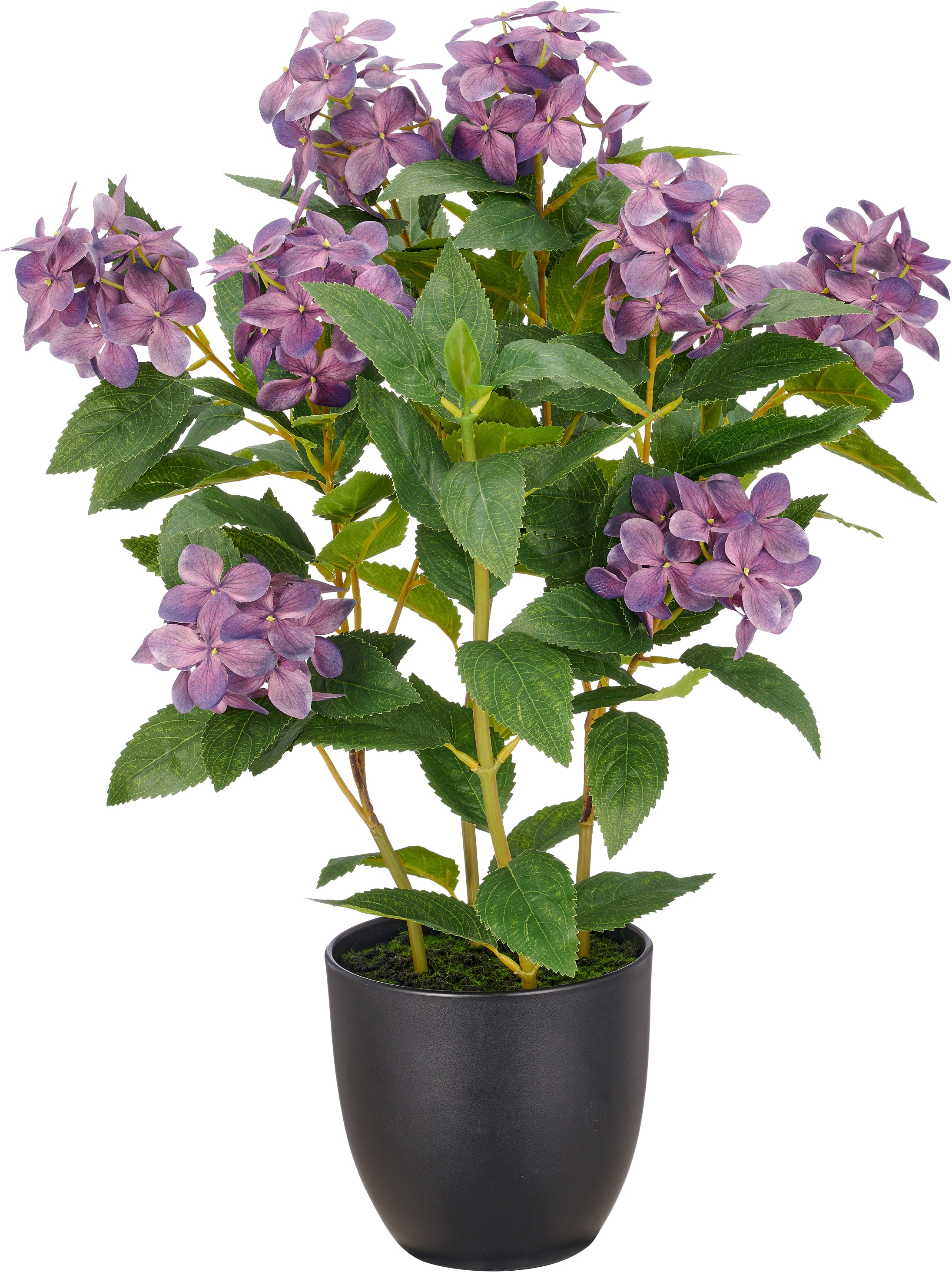 Creativ green Kunstpflanze "Hortensie paniculata" mit 8 Real-Touch-Blüten