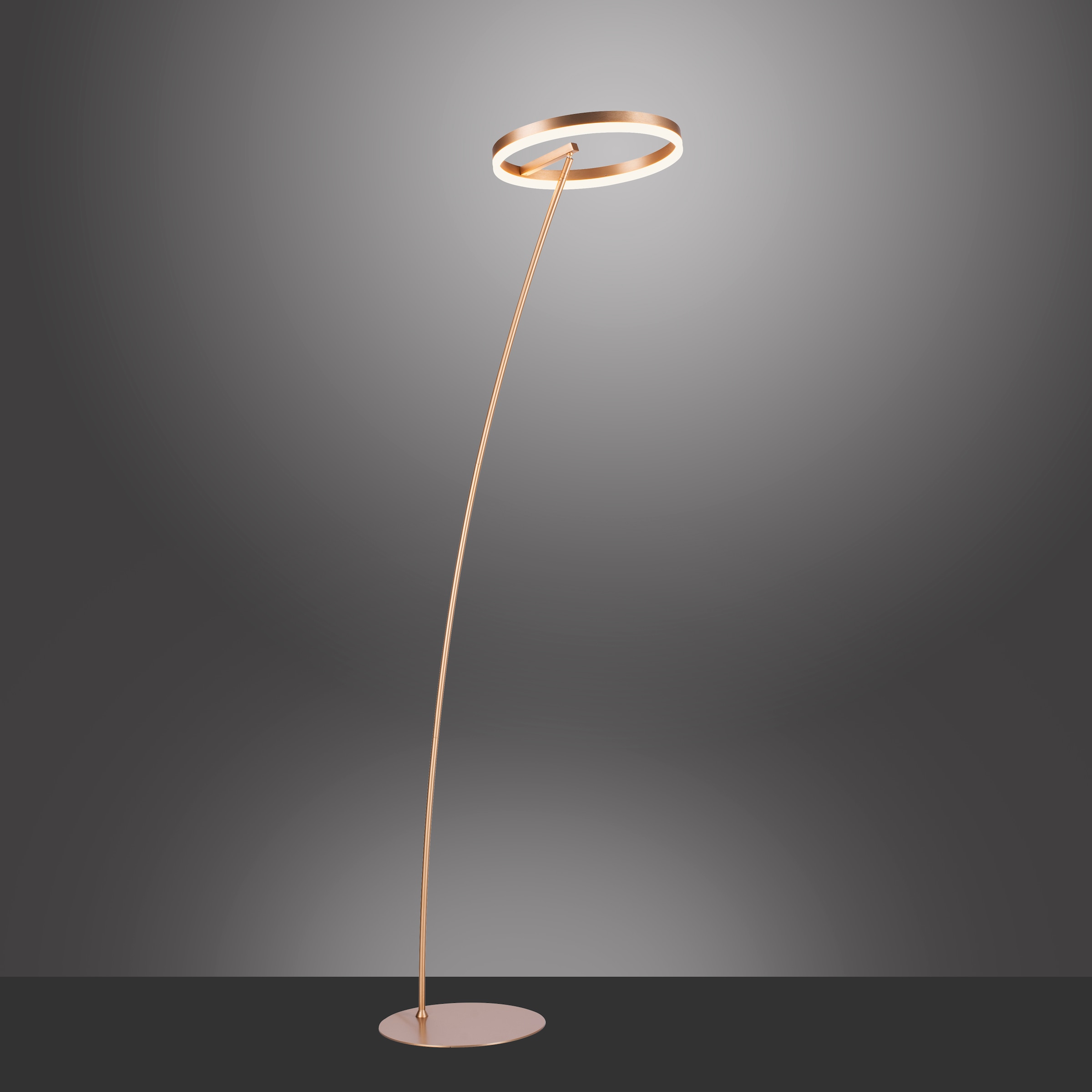 Paul Neuhaus Stehlampe »TITUS«, 1 flammig-flammig, LED, dimmbar über Schnurdimmer