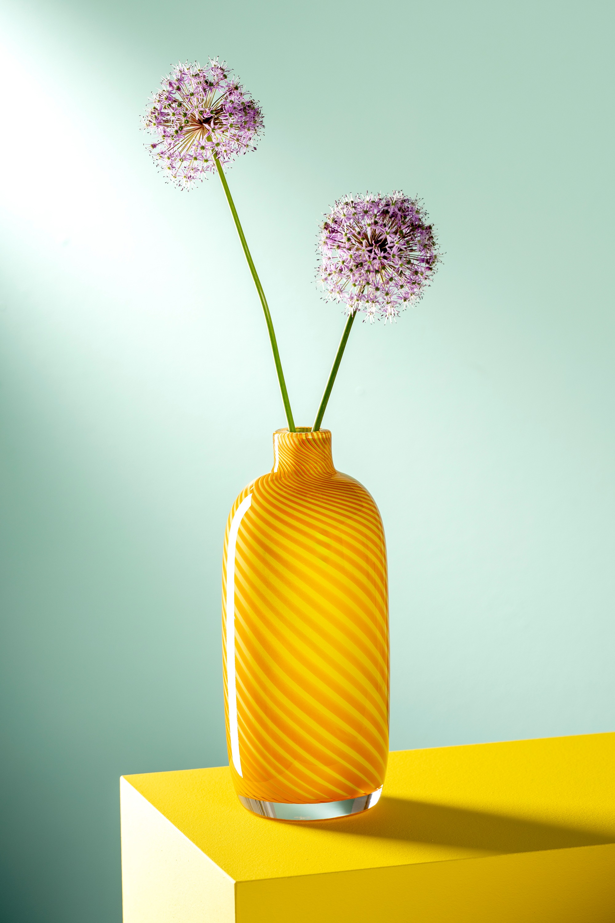 LEONARDO Dekovase "Vase FILO COLORI" günstig online kaufen