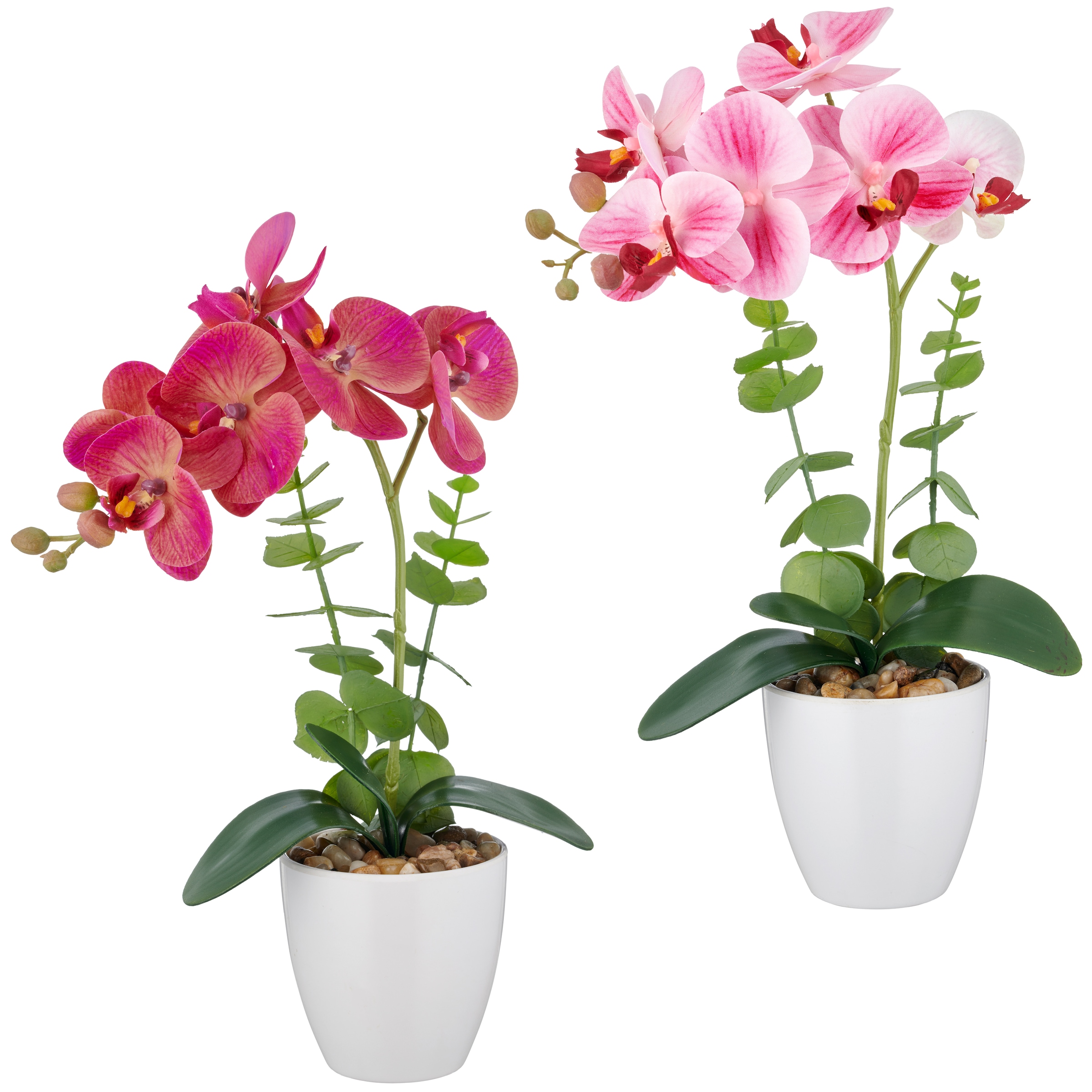 Creativ green Kunstorchidee "Orchidee Phalaenopsis", mit Eukalyptuszweigen günstig online kaufen