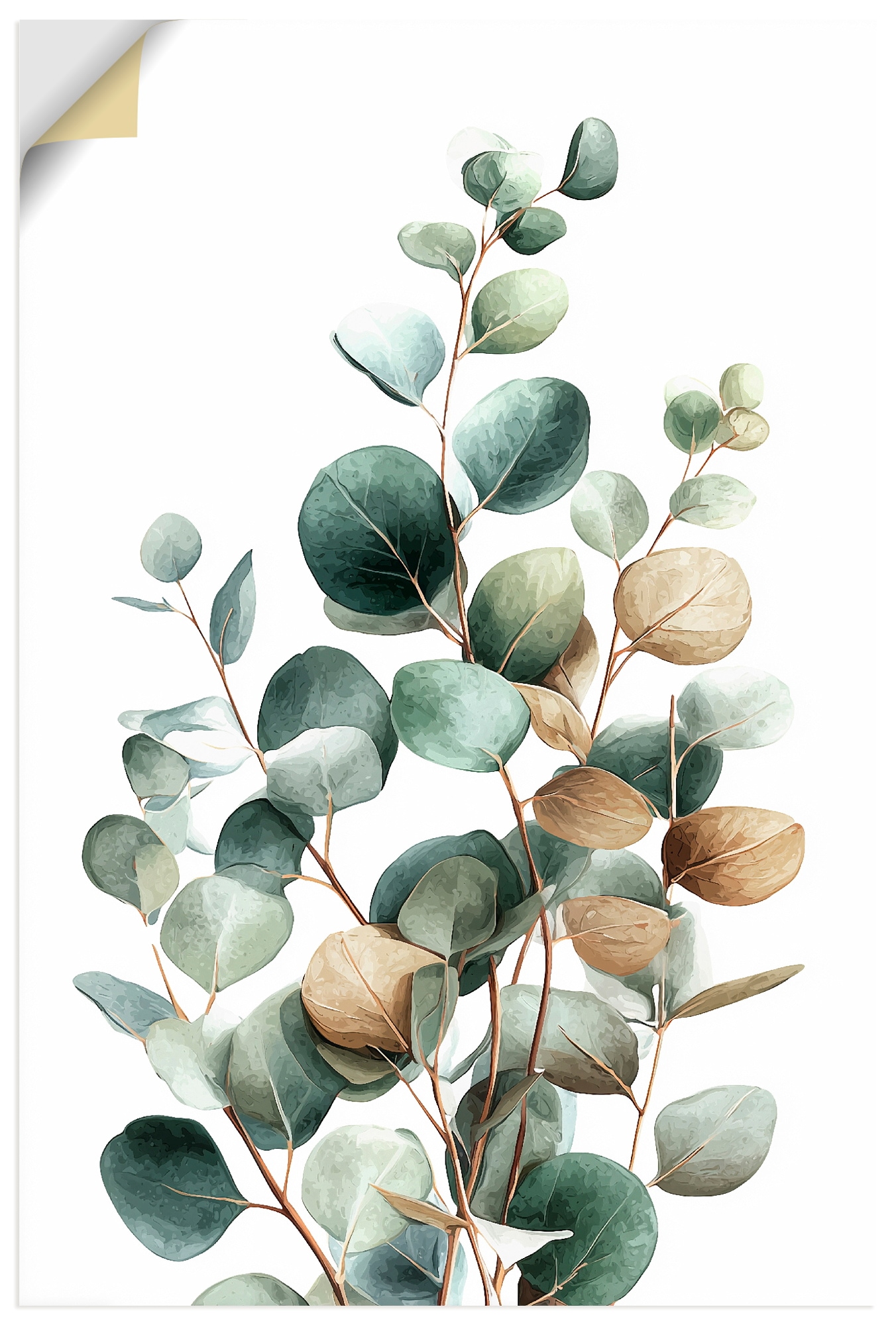 Artland Wandbild "Eukalyptus" Blätterbilder 1 Stk. tlg. als Alubild, Leinwandbild, Poster, Wandaufkleber in verschied. Größen