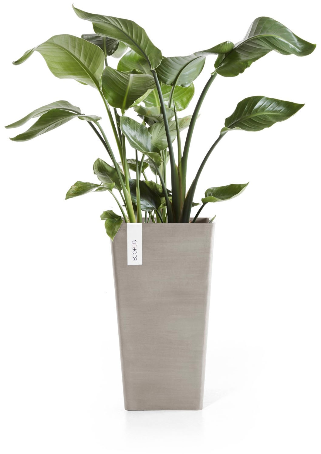 ECOPOTS Blumentopf »ROTTERDAM MID HIGH Taupe« BxTxH: 31x31x56 cm