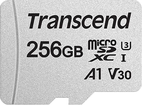 Speicherkarte »microSDXC 300S 256 GB«, (UHS Class 10 100 MB/s Lesegeschwindigkeit)
