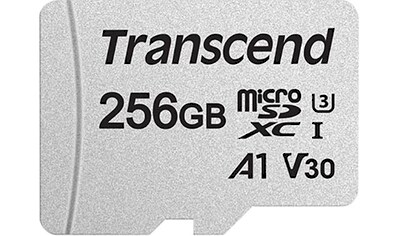 Speicherkarte »microSDXC 300S 256 GB«, (UHS Class 10 100 MB/s Lesegeschwindigkeit)