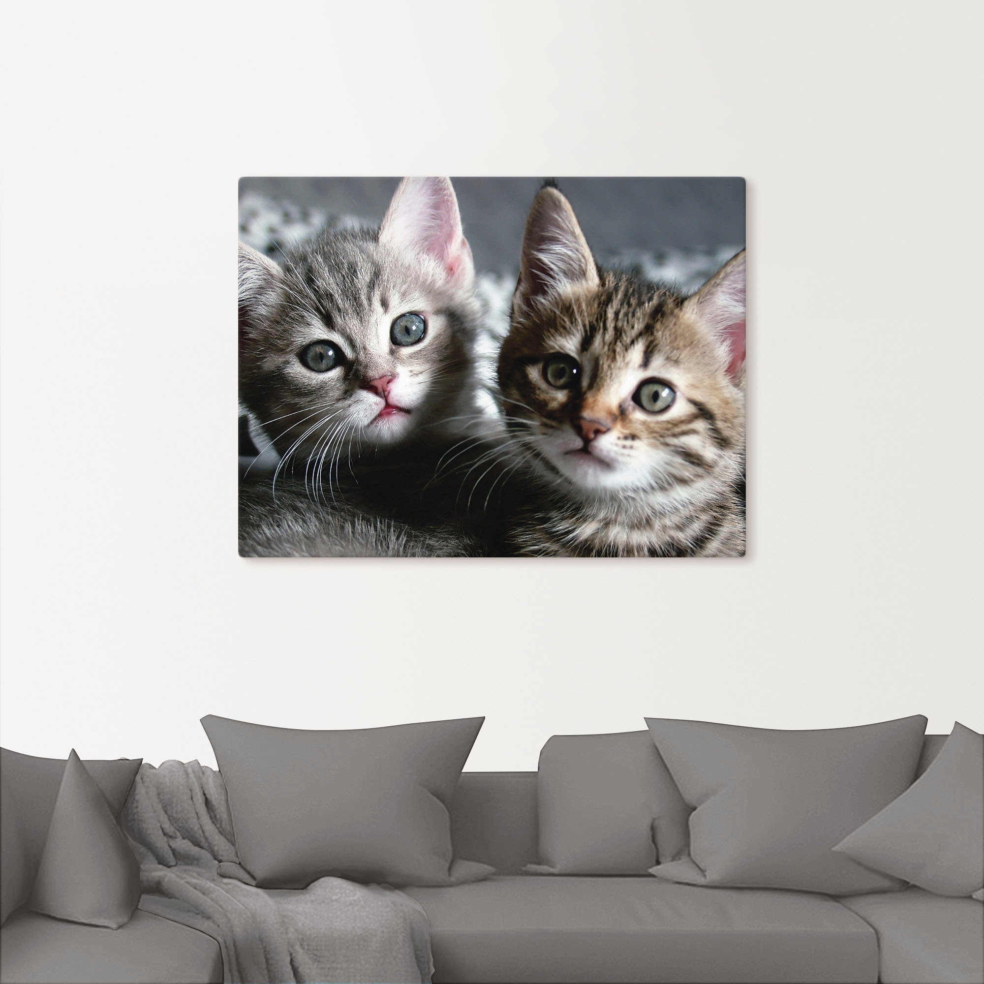 Artland Wandbild »Katze«, Haustiere, (1 St.), als Alubild, Outdoorbild, Leinwandbild, Poster, Wandaufkleber