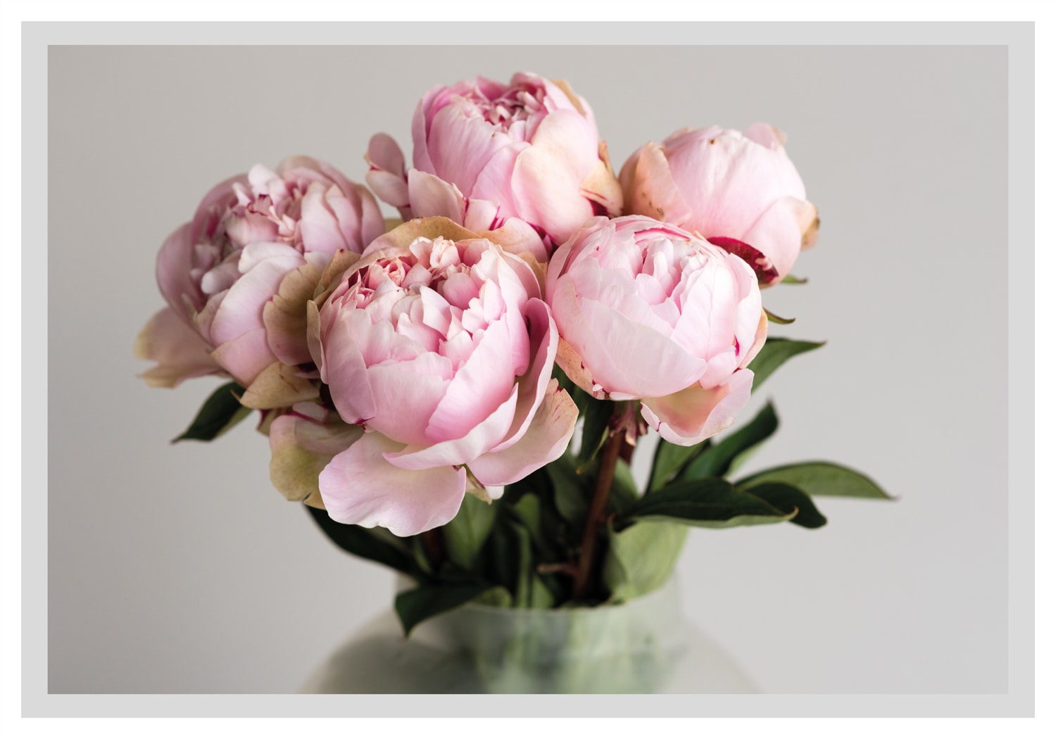 queence Bild "Gudrun" Blumen Blumenbilder Blätter Foto Kunst gerahmt, Rosen