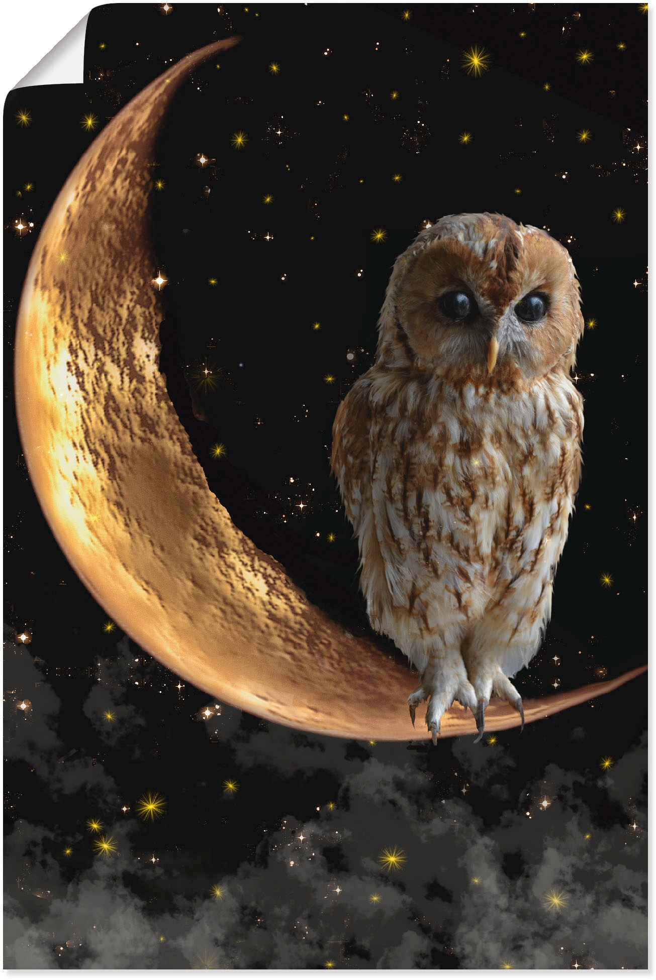 Artland Wandbild "Nachteule", Vögel, (1 St.), als Alubild, Outdoorbild, Leinwandbild, Poster in verschied. Größen