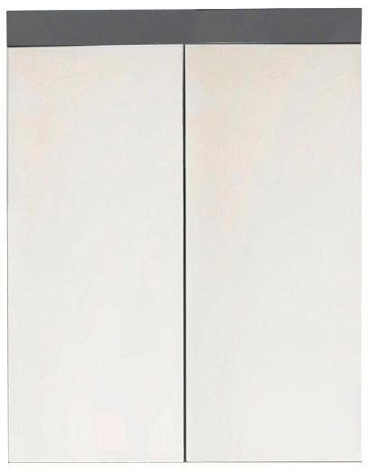 INOSIGN Spiegelschrank »Avena«, Badezimmerschrank wahlweise mit LED-Beleuchtung - (B/T/H) 60/17/77 cm