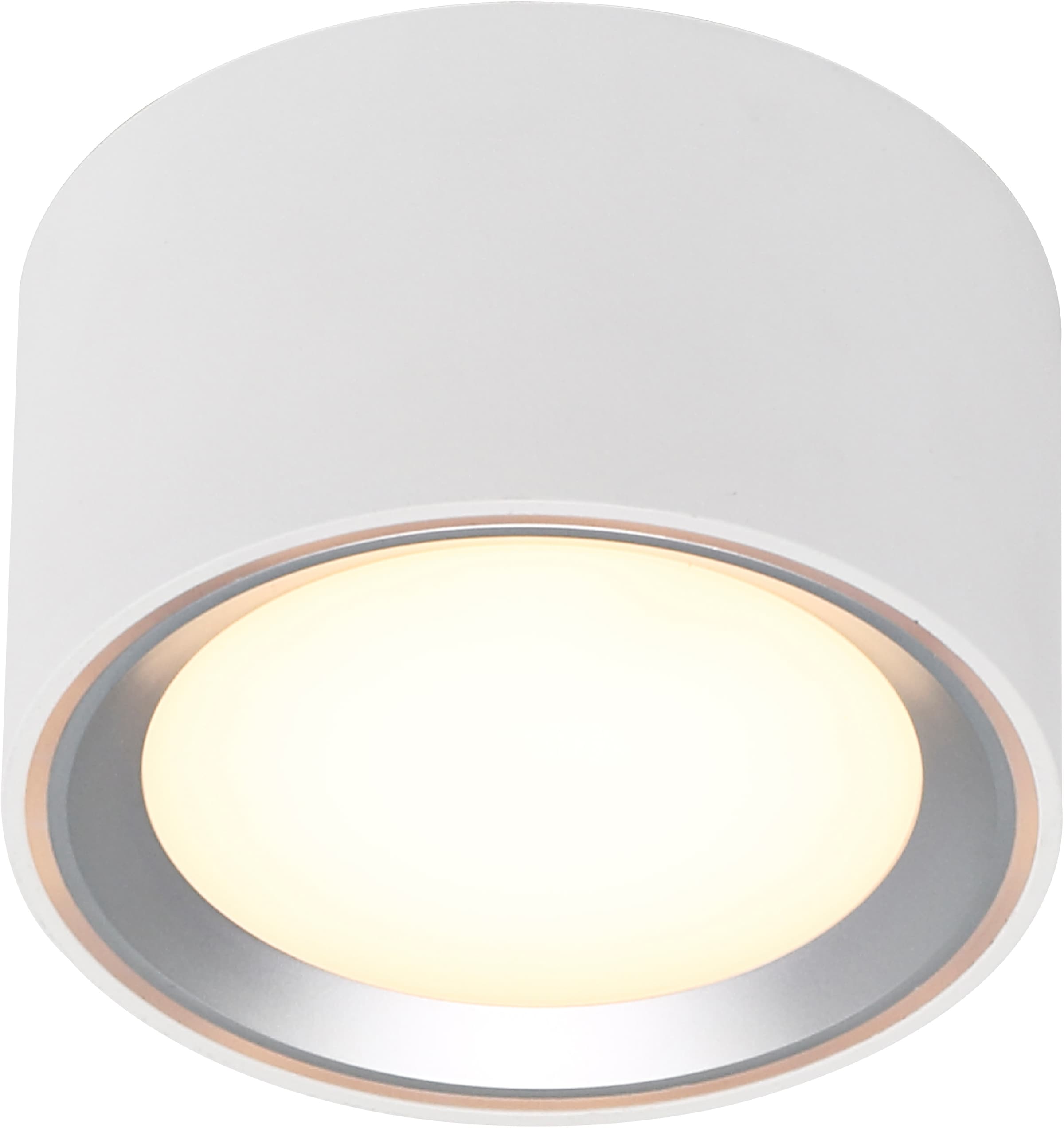 Deckenlampe flammig-flammig, 1 | LED Nordlux Deckenleuchte, BAUR LED Deckenspot »Fallon«, LED