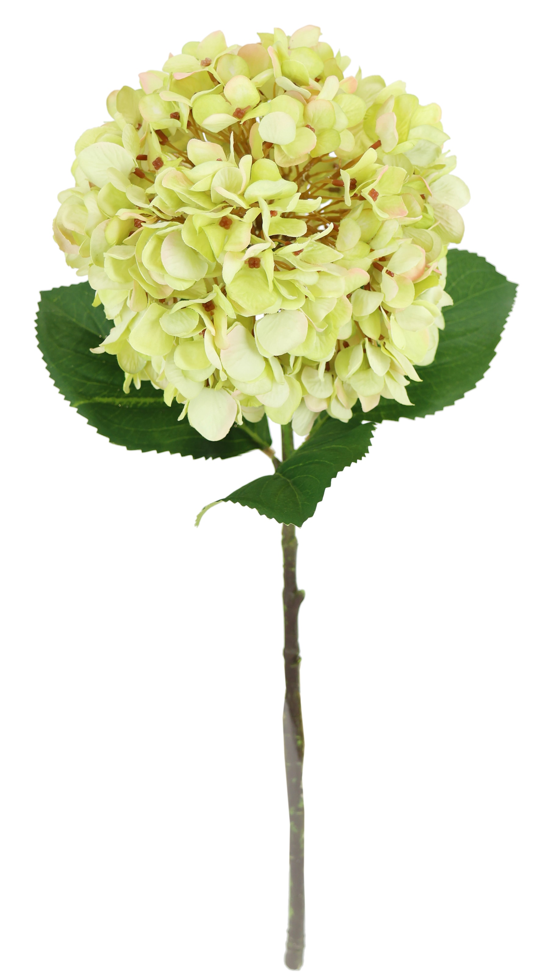 I.GE.A. Kunstblume "Künstliche Hortensie" Einzelblume Stielblume Seidenblume Dekoblume für Vase, Hochzeit