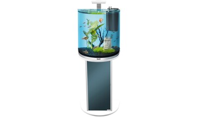 Tetra Aquariumunterschrank »AquaArt Explorer LED«, BxTxH: 75,5x38,4x12 cm kaufen