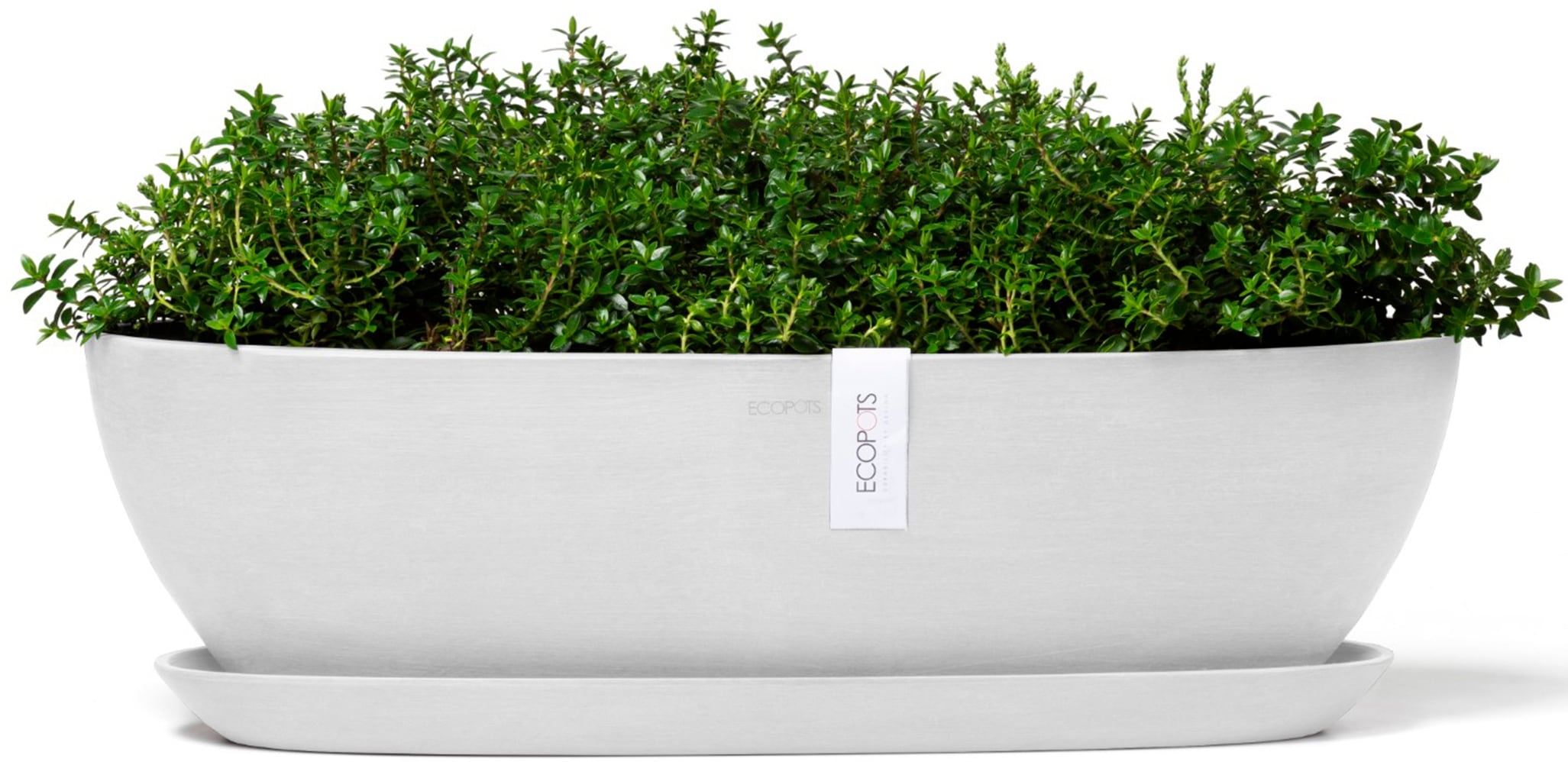 ECOPOTS Blumentopf »Sofia lang 56 Weiß«, für innen und außen: frostsicher, bruchsicher und lichtbeständig