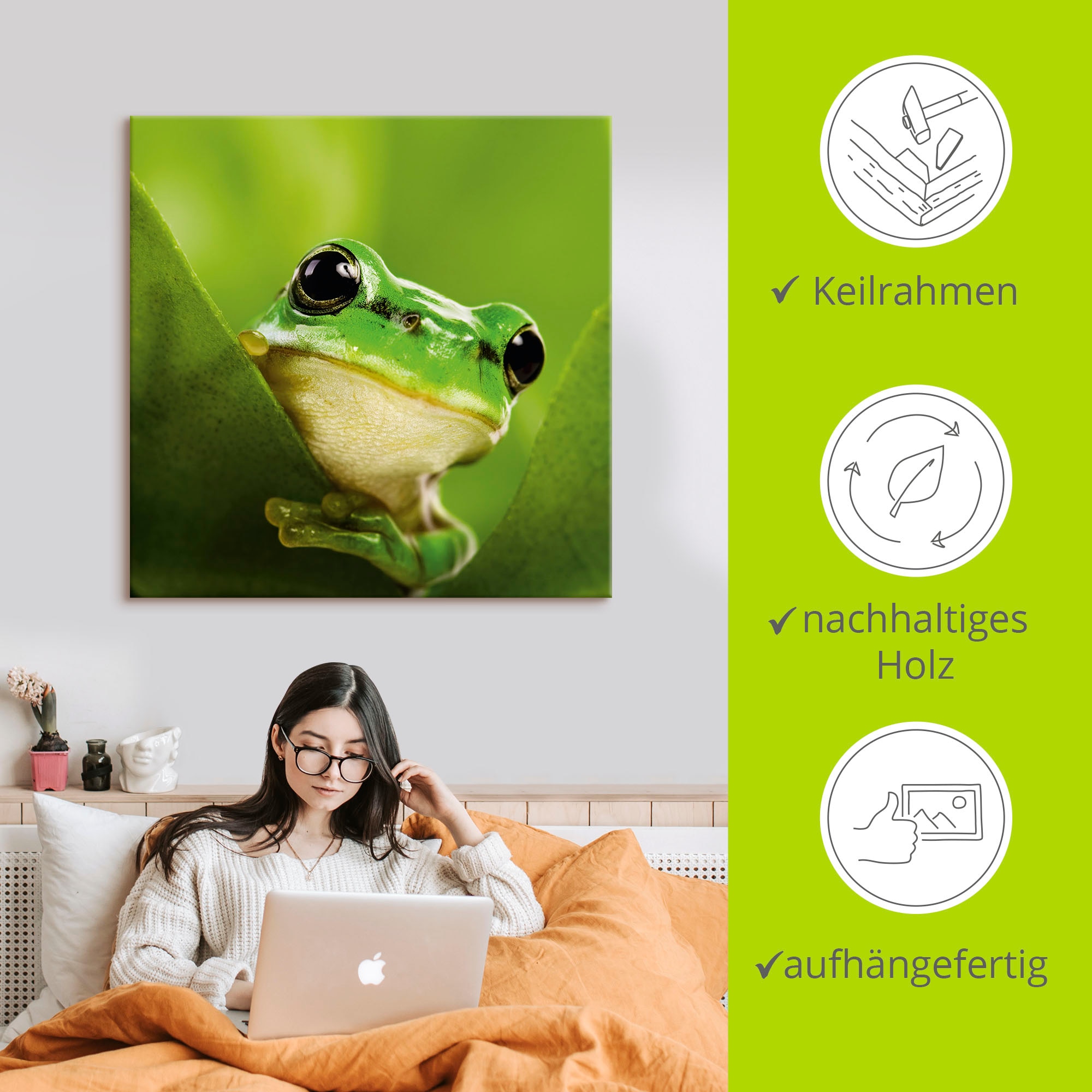 Artland Wandbild »Ausspähender Frosch«, Wassertiere, (1 St.), als Leinwandbild, Poster in verschied. Größen