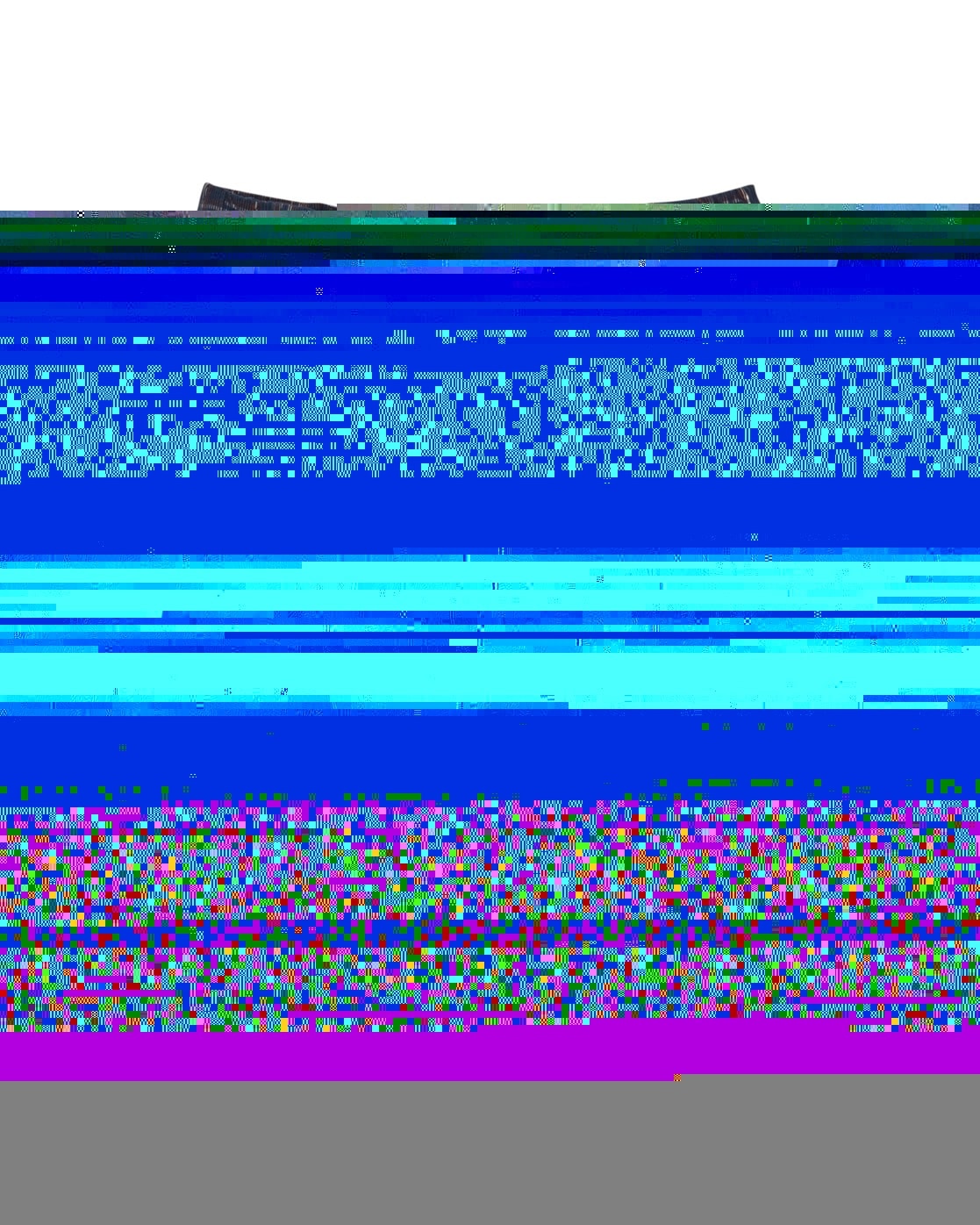 Element Bermudas "Big" günstig online kaufen