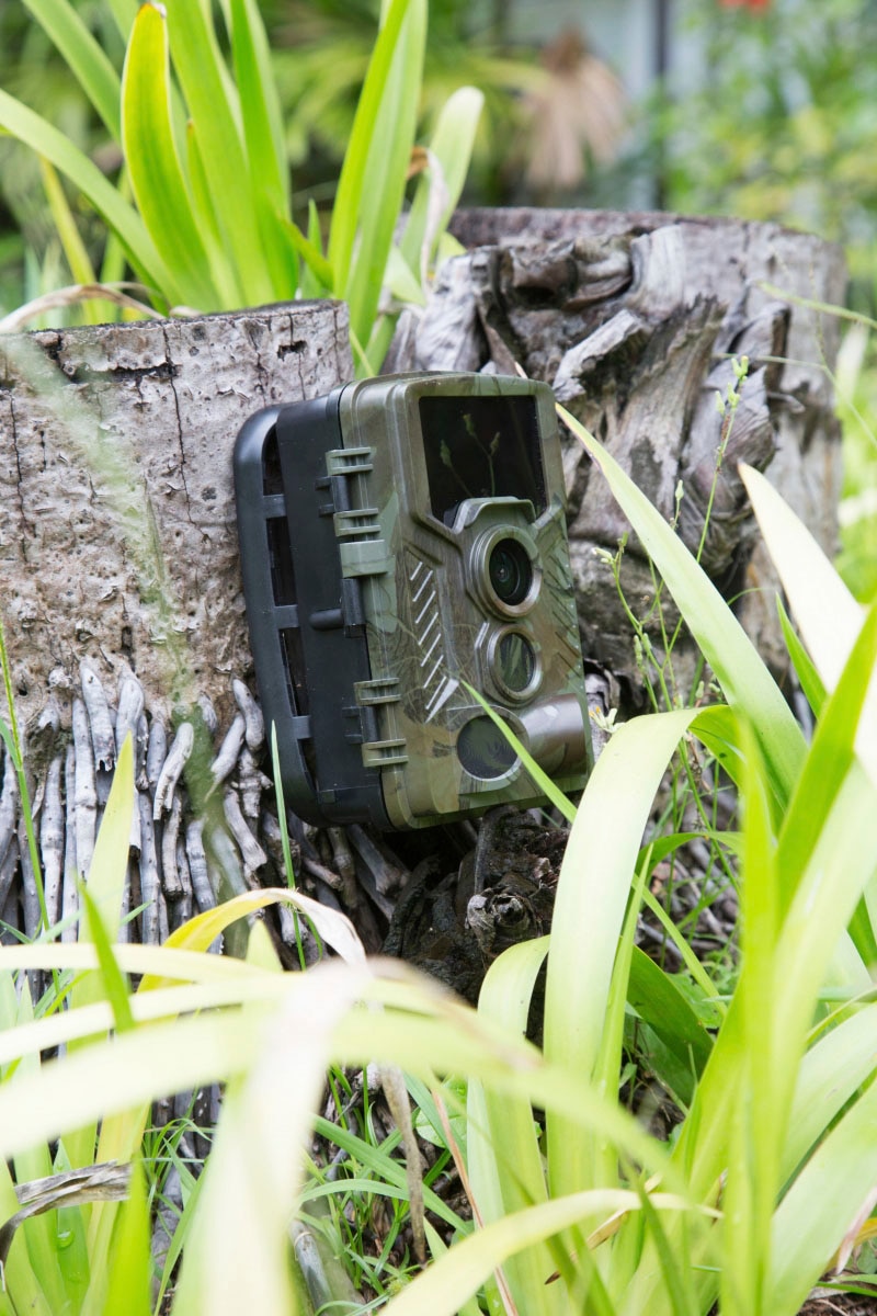 Technaxx Überwachungskamera »Nature Wild Cam 8MP TX-125«, Innenbereich-Außenbereich, (1 tlg.)