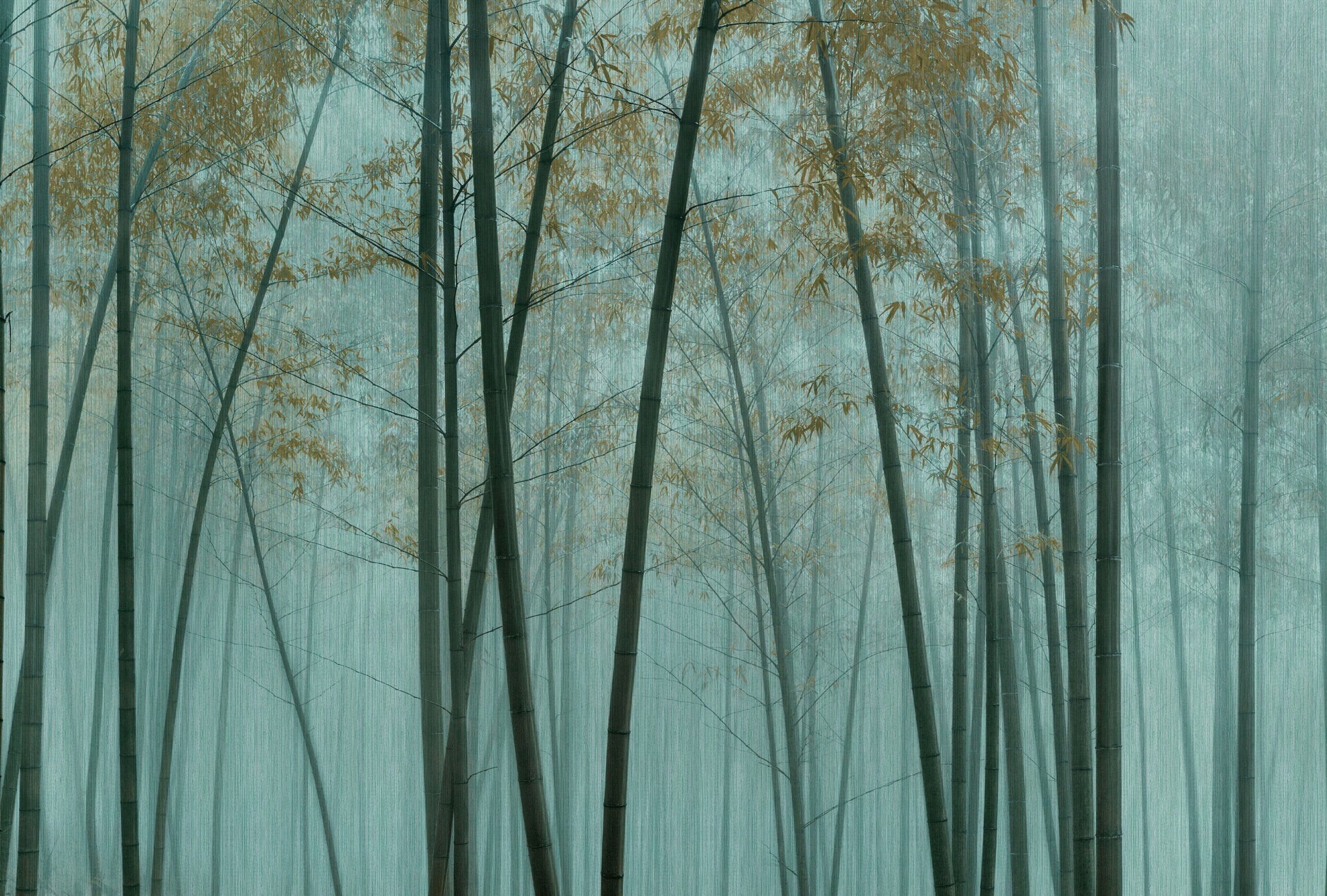 living walls Fototapete "Walls by Patel In The Bamboo" glatt Vlies, Wand günstig online kaufen