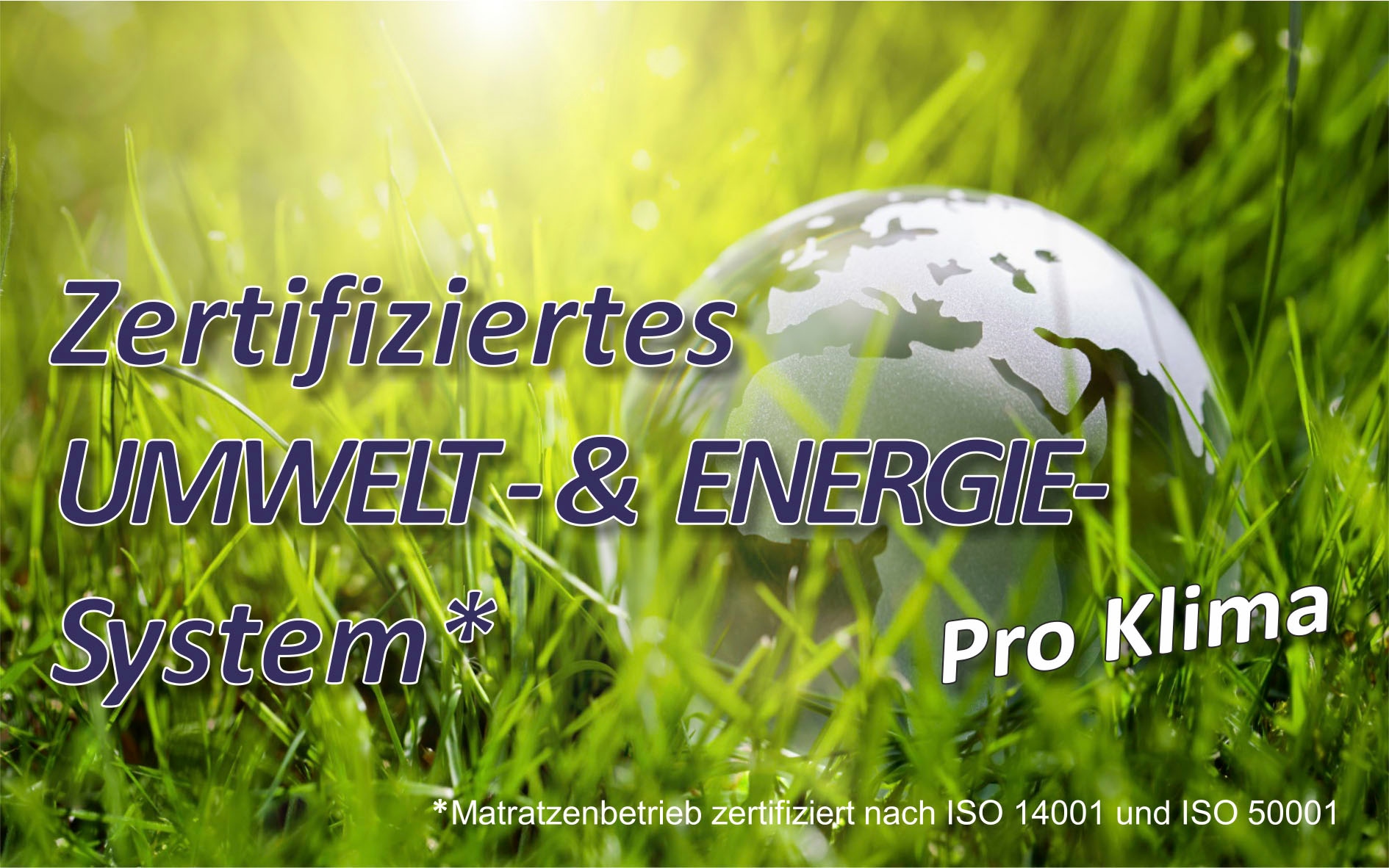 Be Fair Life Lattenrost »Planet 42 KF«, Öko-Tipp Lattenrost aus Deutschland, BLAUER ENGEL zertifiziert