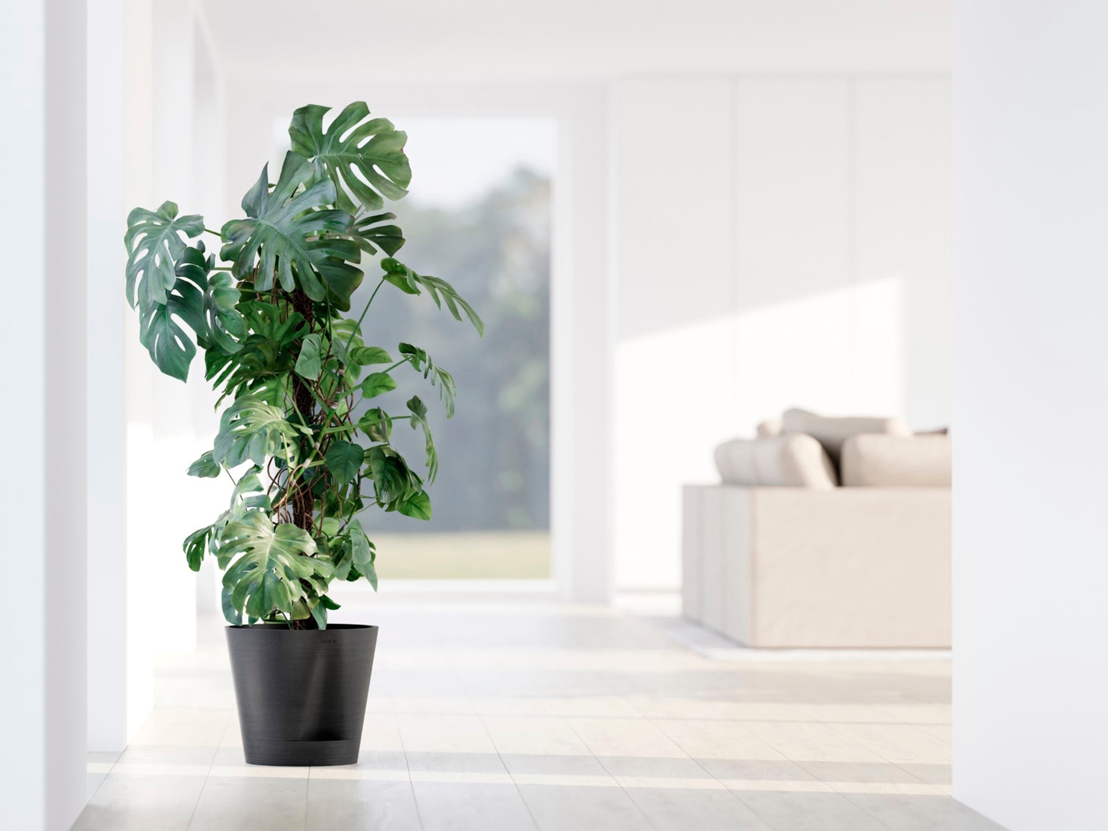 ECOPOTS Blumentopf »Venice 2 30 Dunkelgrau«, für den Innenbereich