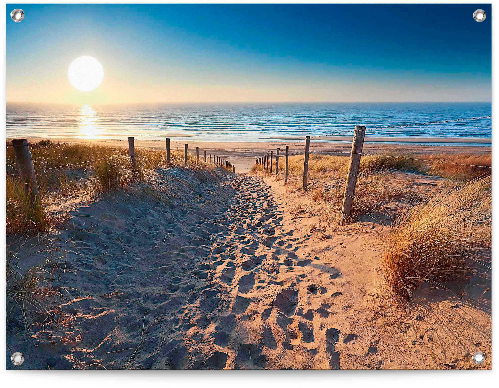 Reinders Poster "Dünenweg zum Meer" günstig online kaufen