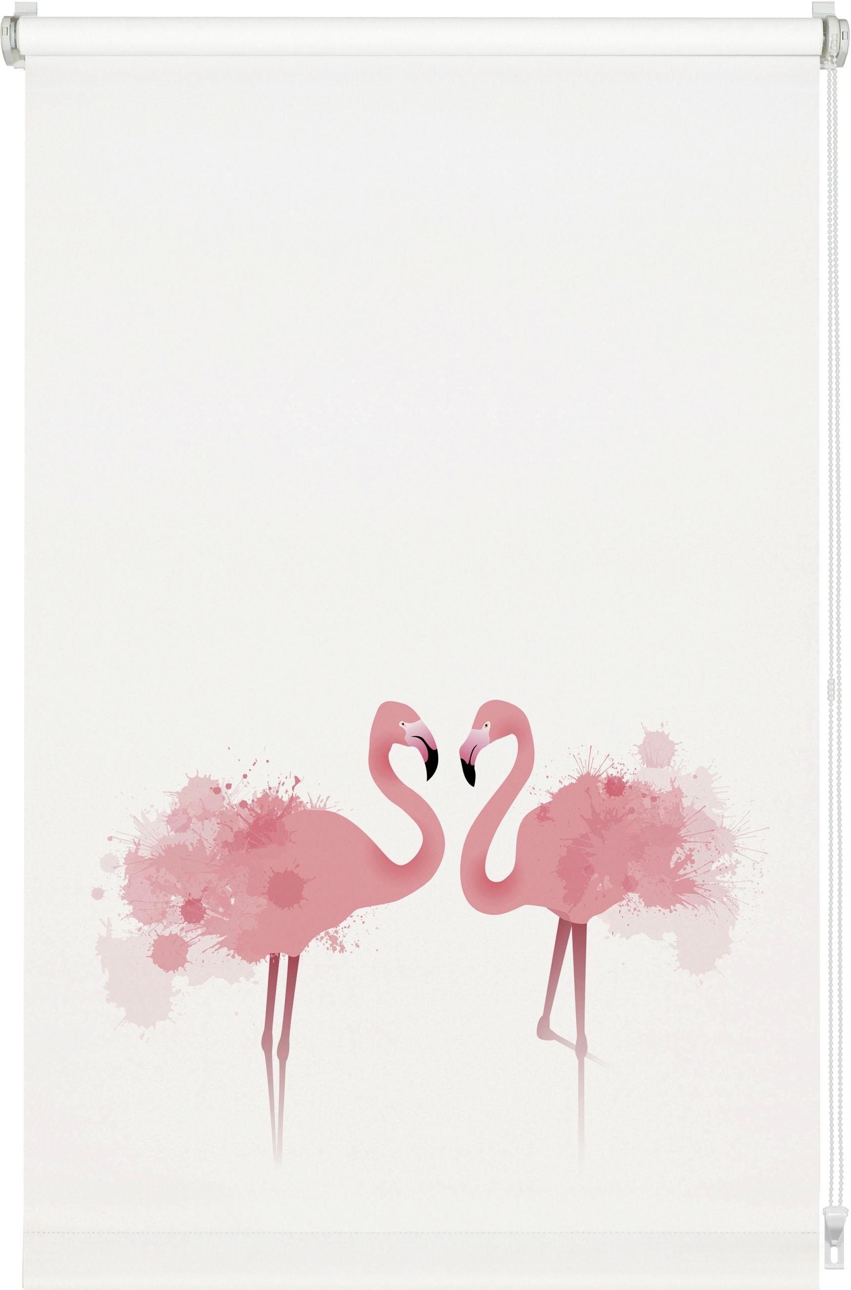 GARDINIA Seitenzugrollo "Easyfix Rollo Digiprint" blickdicht Sichtschutz oh günstig online kaufen