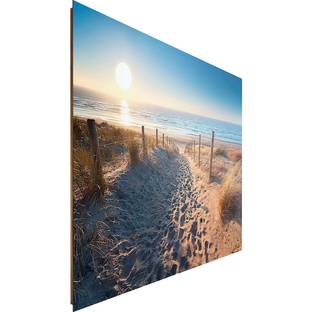 Reinders! Deco-Panel »Dünenweg zum Meer« kaufen | BAUR