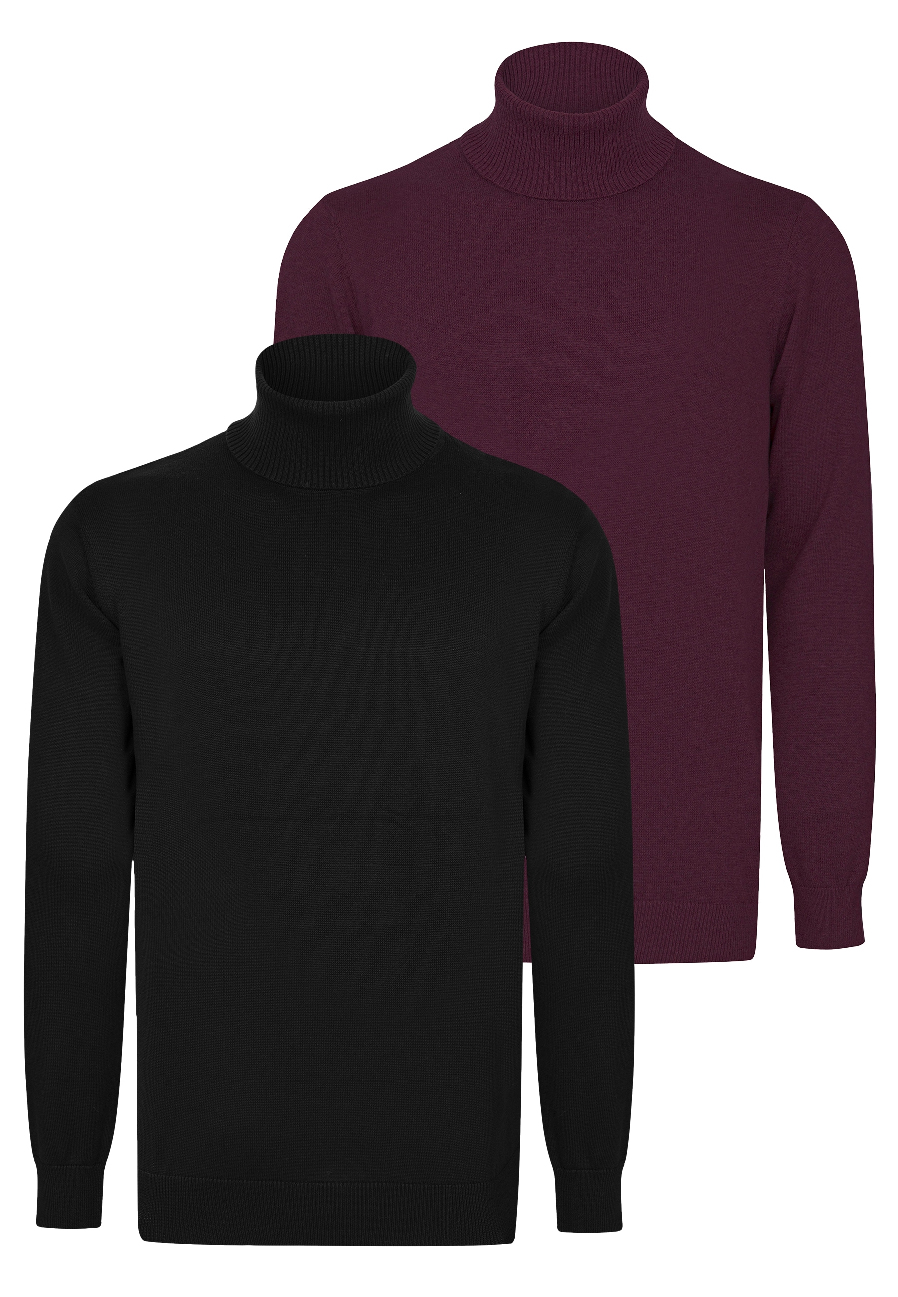 Felix Hardy Rollkragenpullover "Rollkragenpullover 2er-Pack" günstig online kaufen