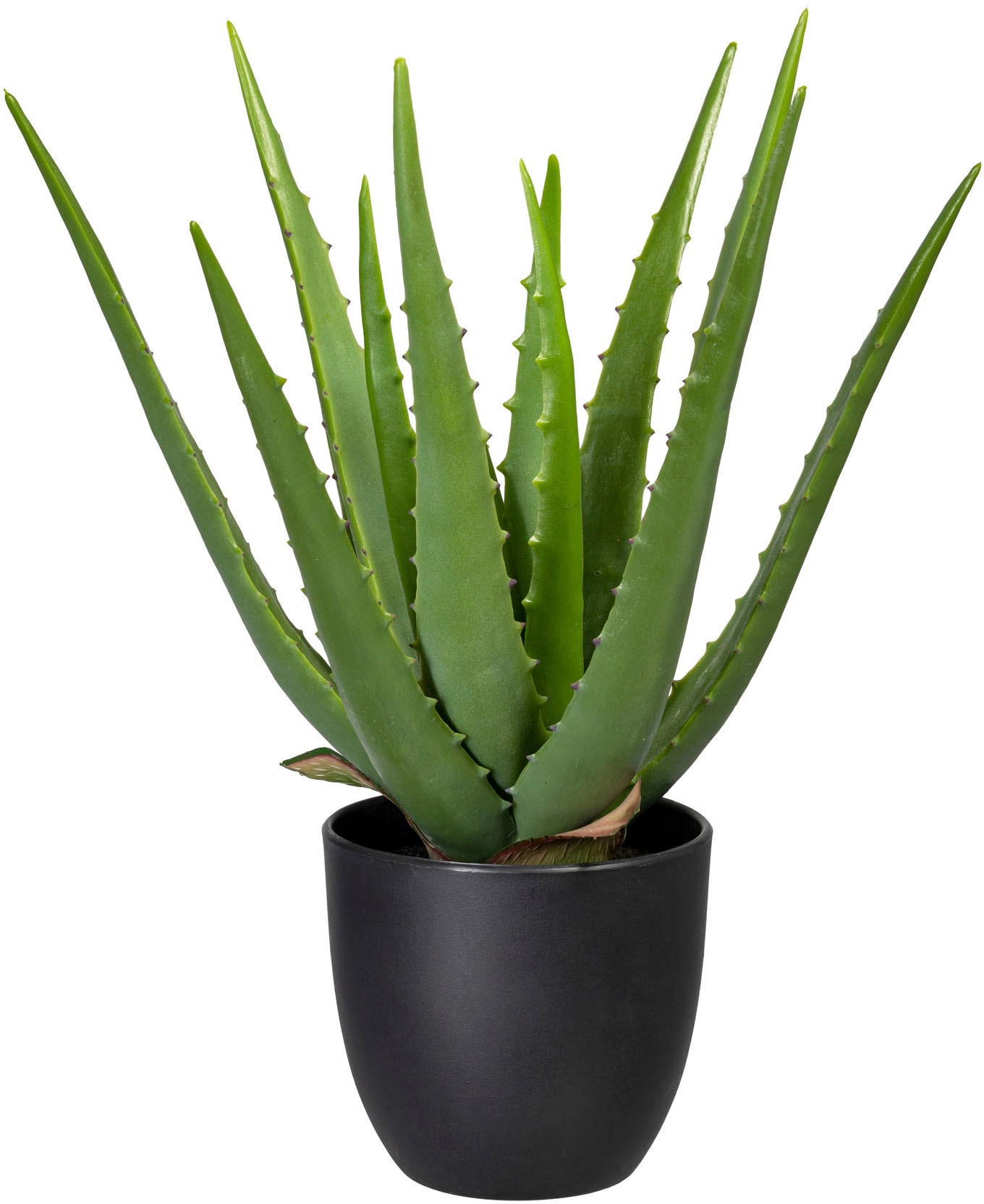 Künstliche Zimmerpflanze »Aloe«
