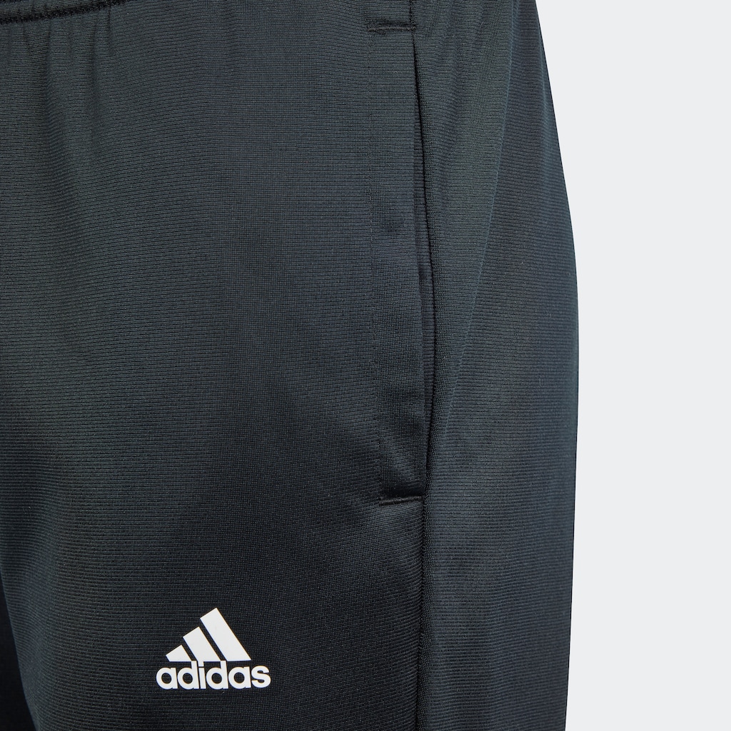 adidas Sportswear Trainingsanzug »ESSENTIALS BIG LOGO«, (2 tlg.)