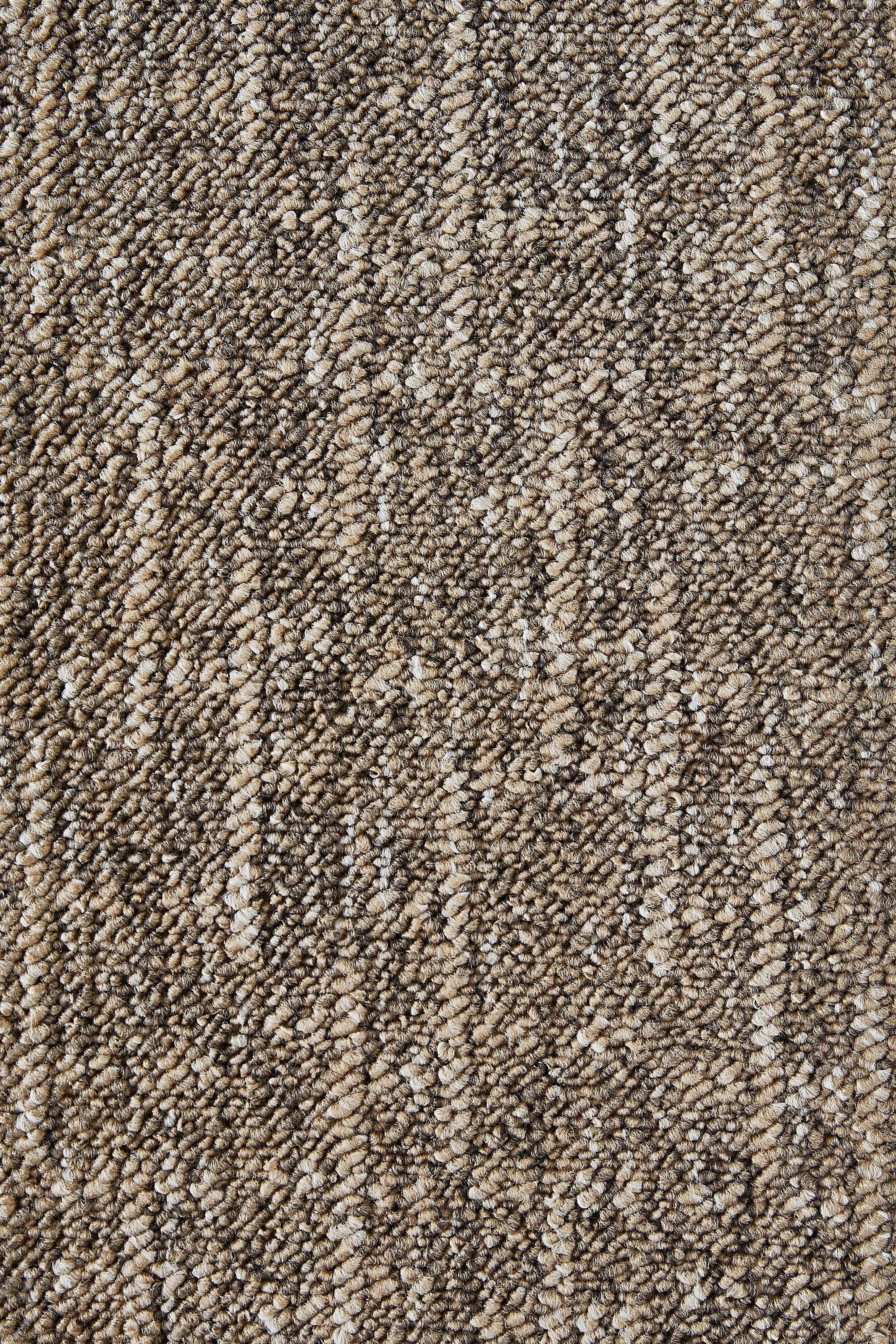 my home Teppichboden »Jamie, melierte Schlinge, Made in Netherlands«, rechteckig, 6 mm Höhe, Breite 400 cm, strapazierfähig, pflegeleicht, allergikerfreundlich