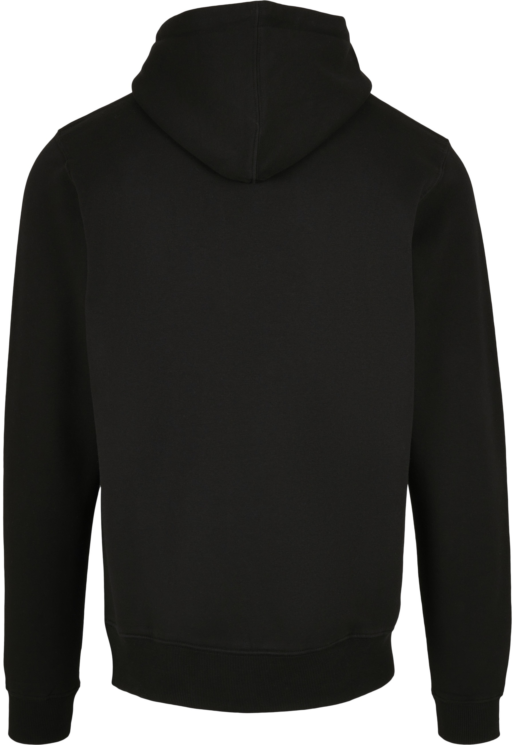 CAYLER & SONS Kapuzensweatshirt "Cayler & Sons Herren C&S Plain Hoody", 1 S günstig online kaufen