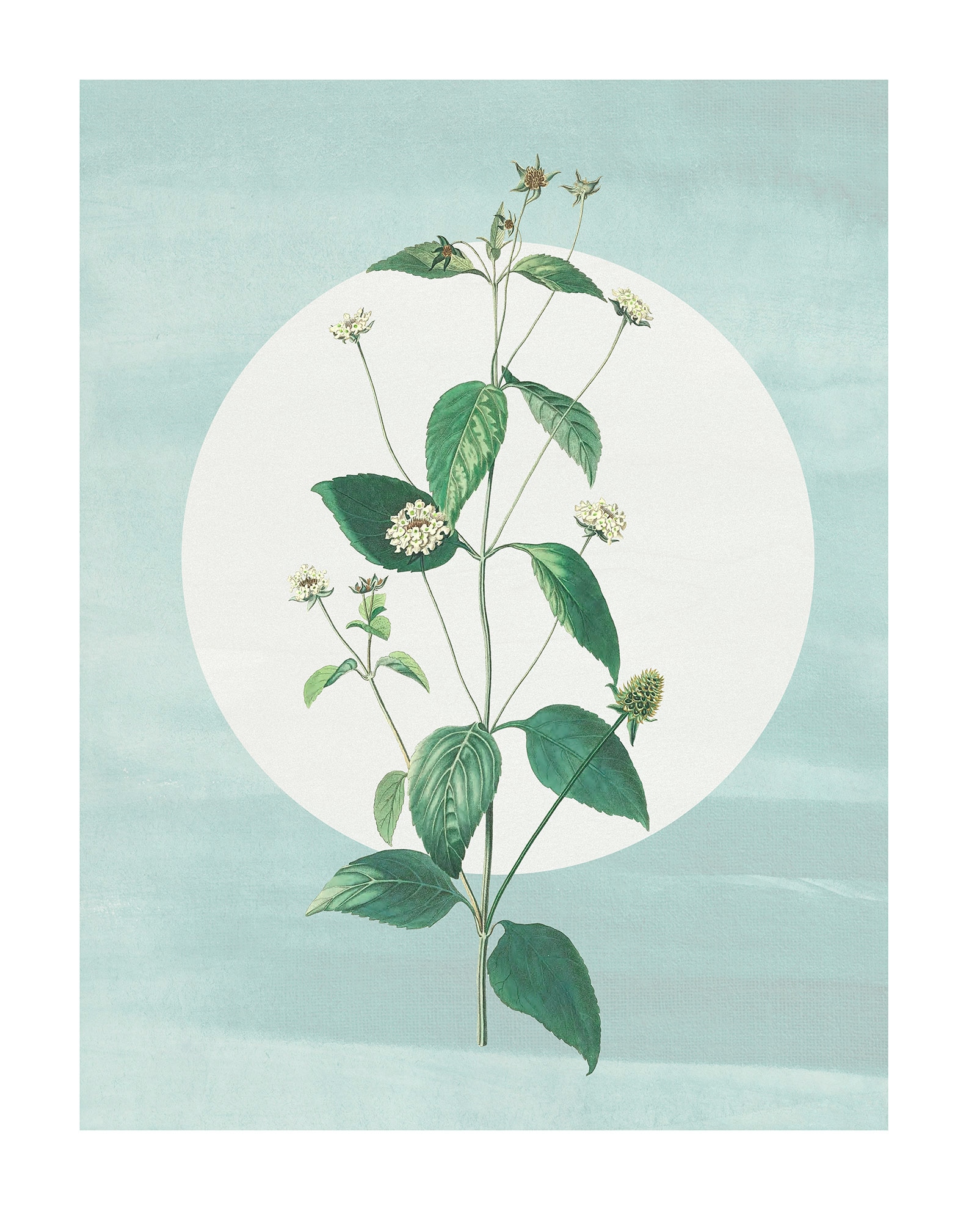 Komar Bild "Faire Pousser des Fraises" Natur 1 Stk. tlg. Wandbild zur Dekor günstig online kaufen