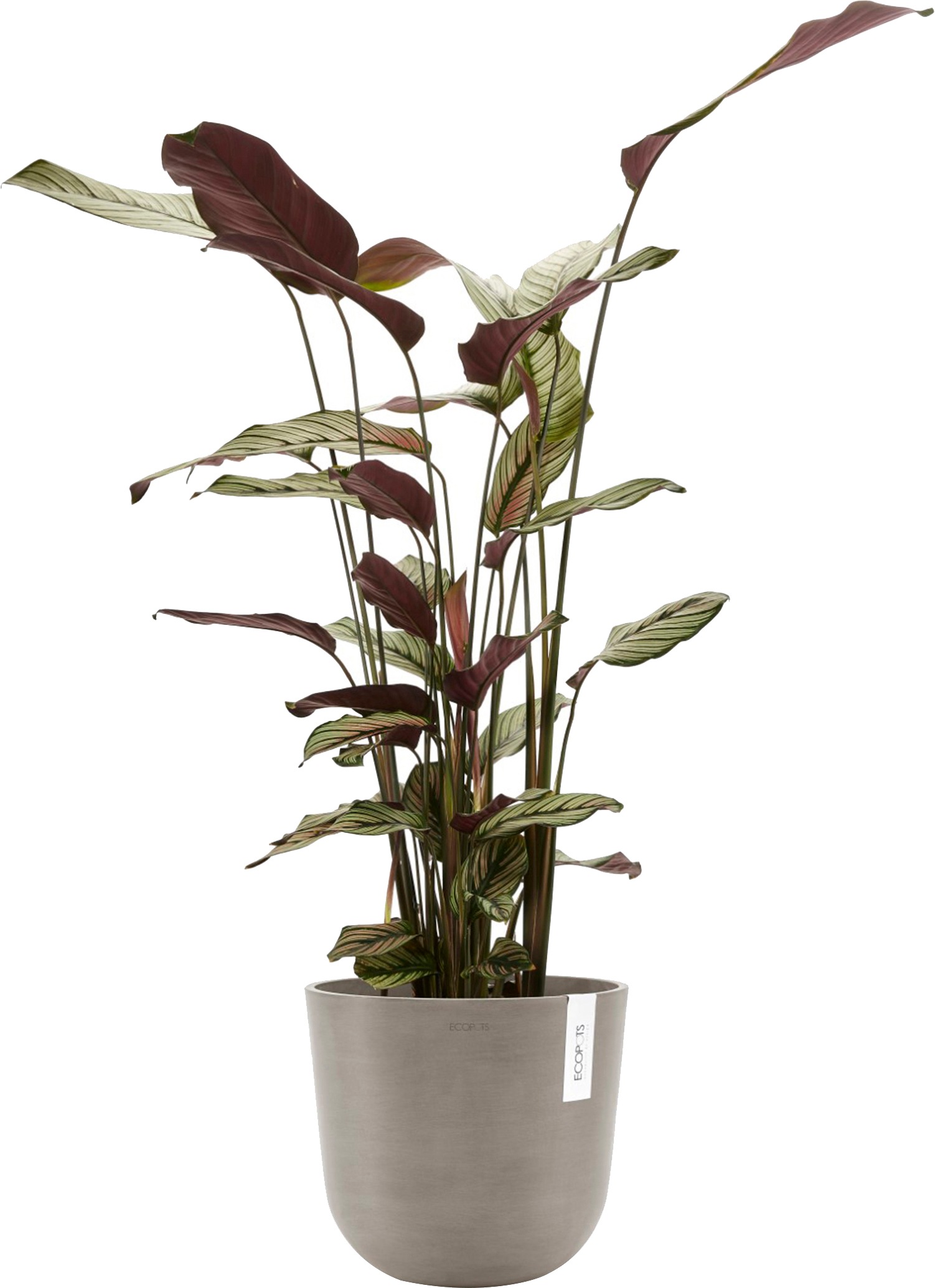 ECOPOTS Blumentopf »Oslo 25 Taupe«, für innen und außen: frostsicher, bruchsicher und lichtbeständig