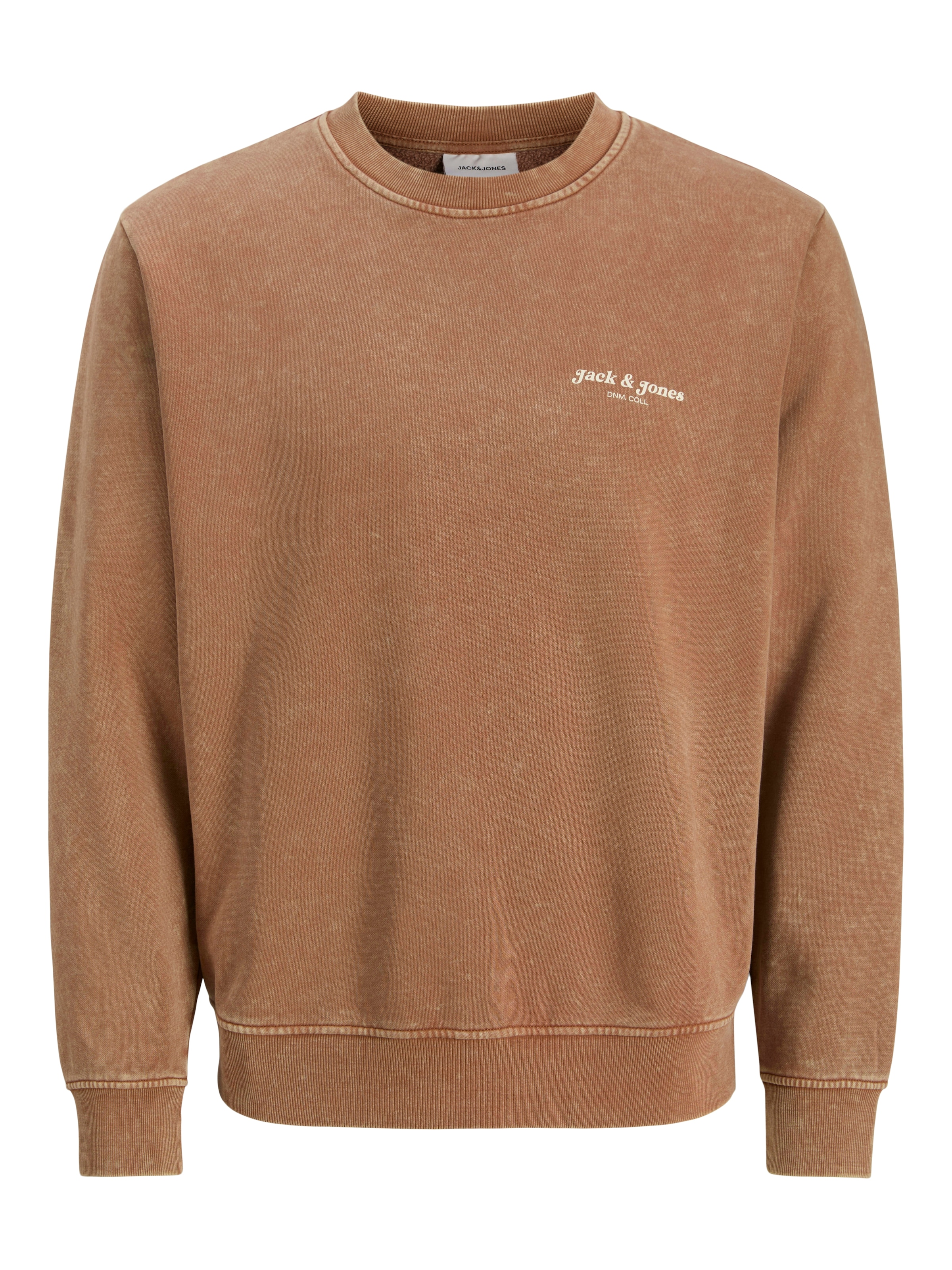 Jack & Jones Sweatshirt »JJEDOVER PRINT SWEAT CREW NECK«

