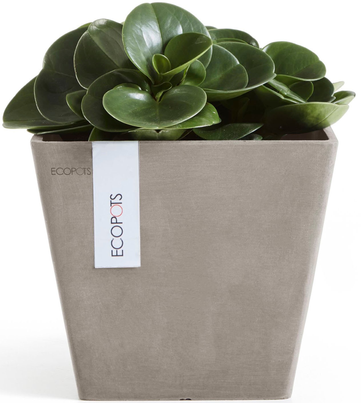 ECOPOTS Blumentopf »ROTTERDAM Taupe« BxTxH: 20x20x17,5 cm