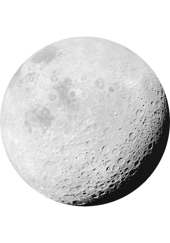 Komar Vliestapete »Luna« 125x125 cm (Breite ...
