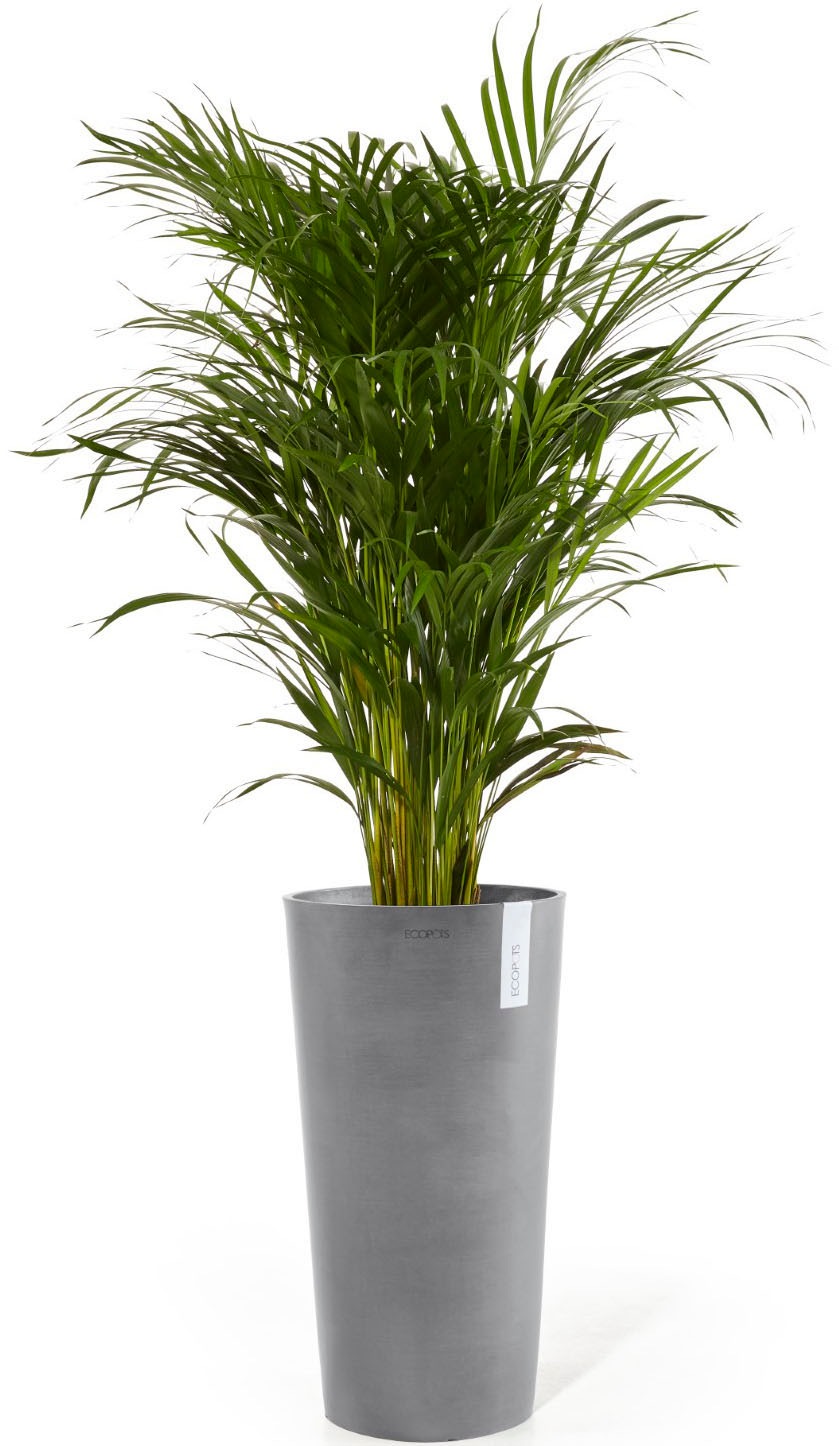ECOPOTS Blumentopf »Amsterdam extrahoch 90 Grau« für innen und außen: frostsicher, bruchsicher und lichtbeständig