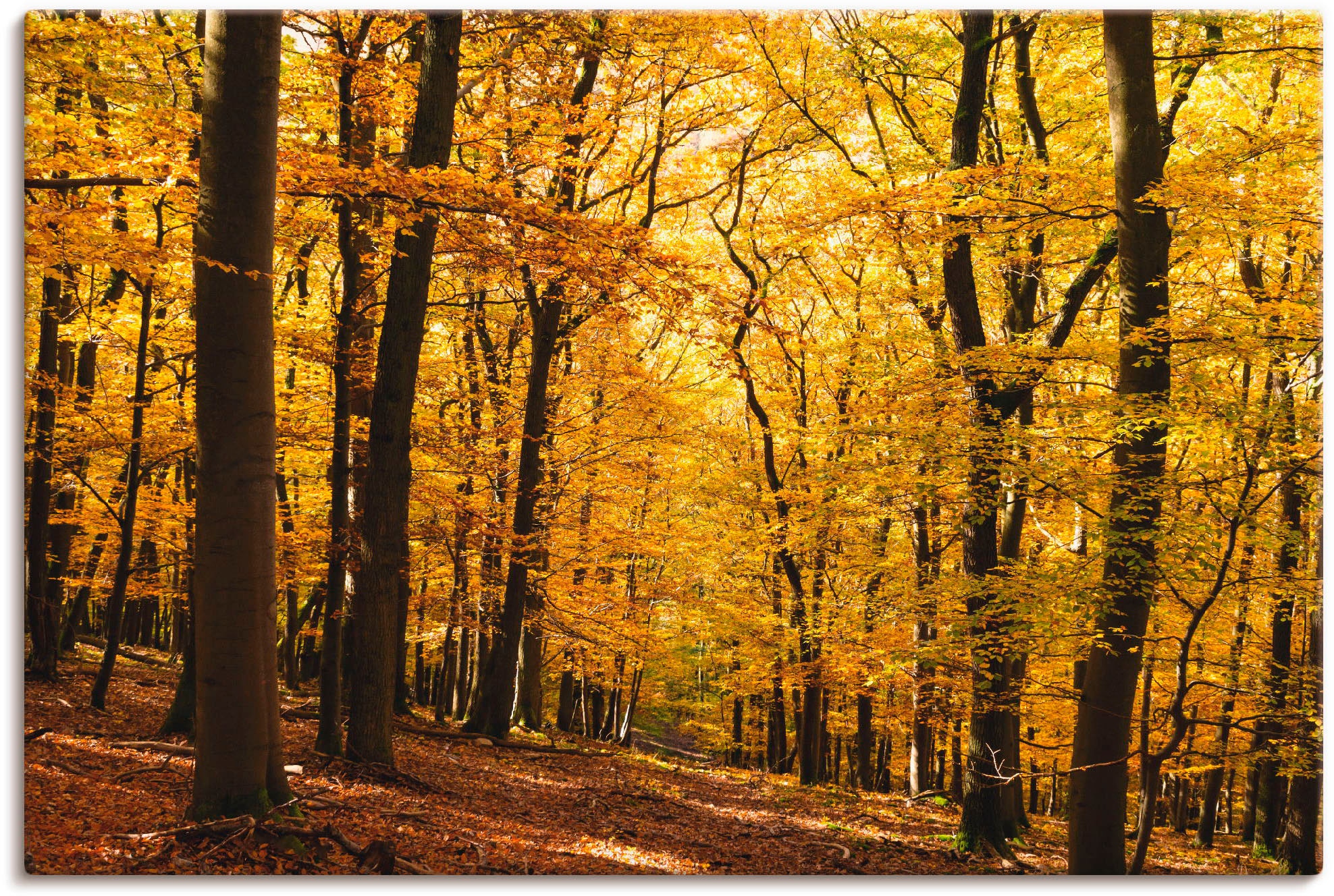 Artland Paveikslas »Spaziergang im Herbstwald«...