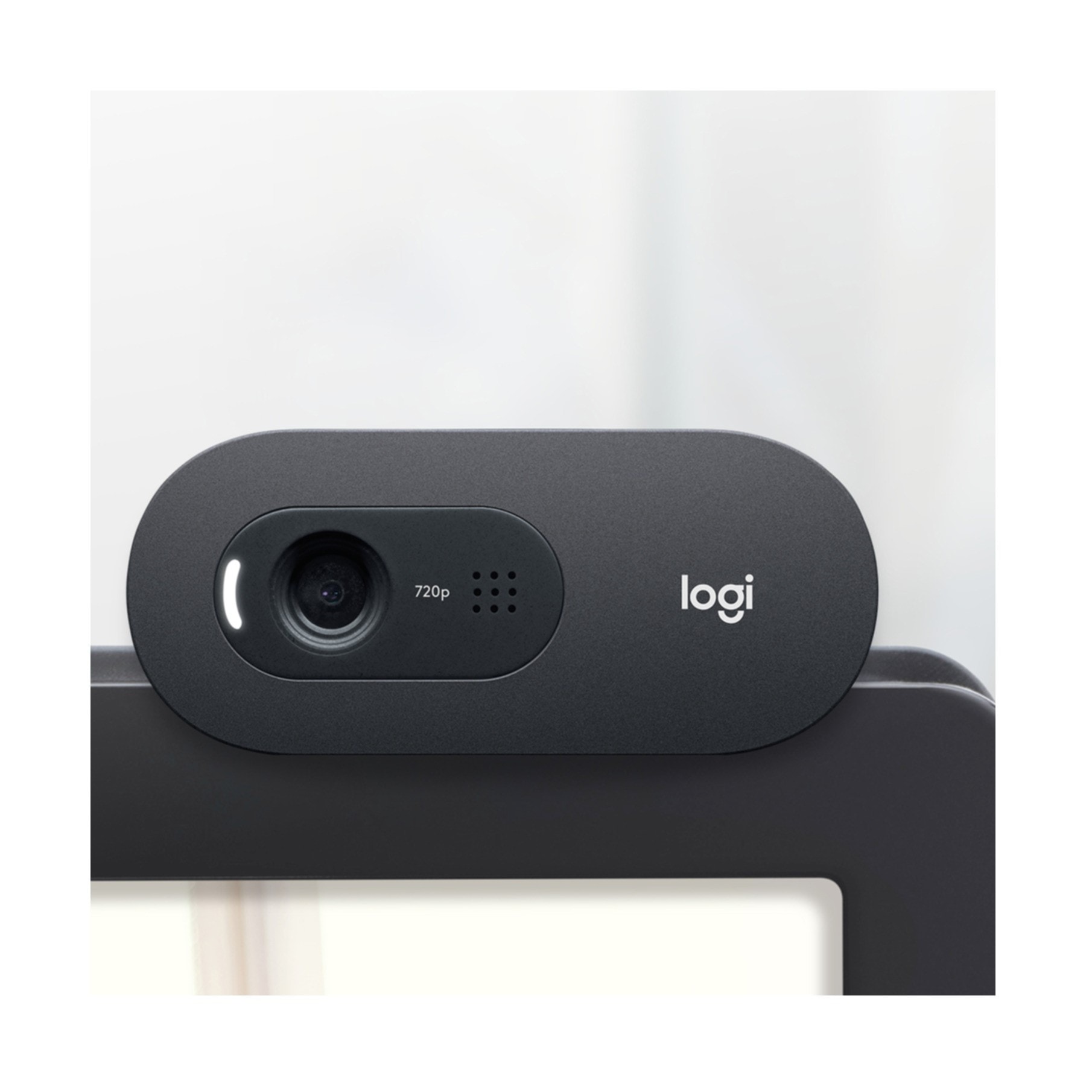 Logitech Webcam »C505 HD«