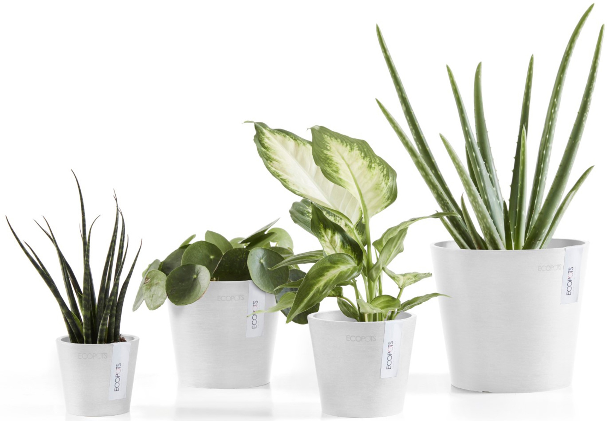 ECOPOTS Blumentopf »Amsterdam Mini 8 Weiß«, für den Innenbereich