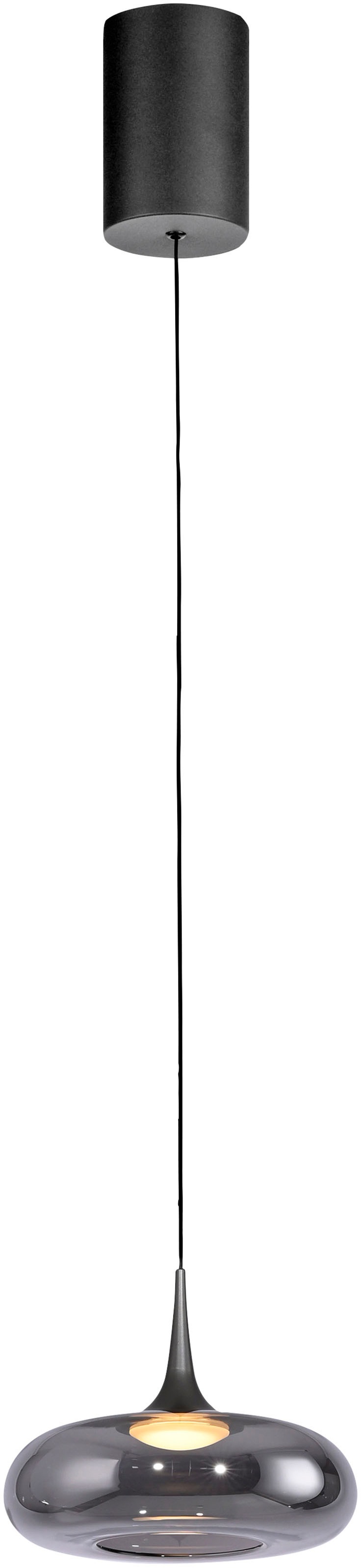 SCHÖNER WOHNEN-Kollektion LED Pendelleuchte »POSH« LED-Board 1 Stk. Warmweiß SCHÖNER WOHNEN Kollektion, SimplyDim, Memoryfunktion, Comfort-Lift