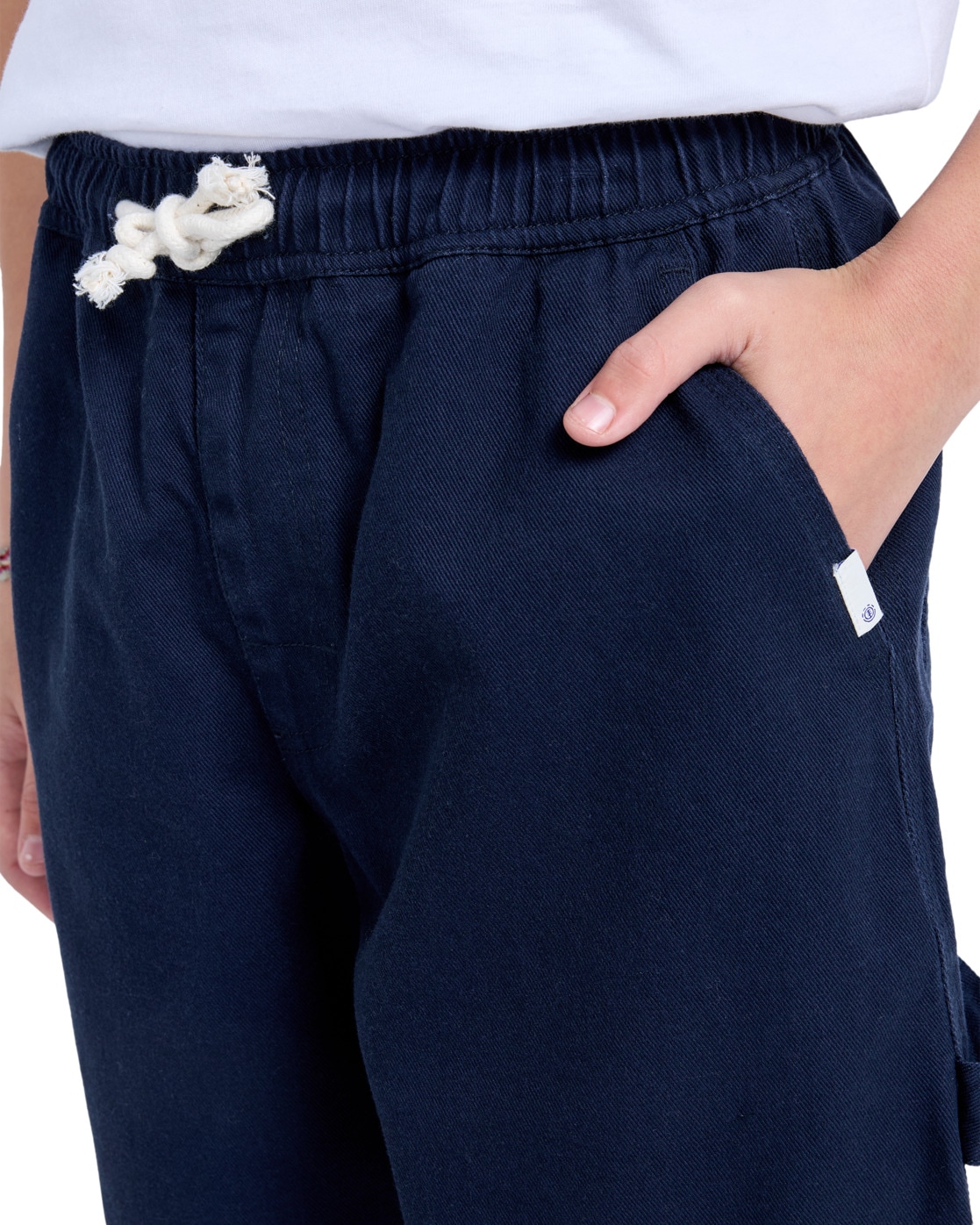 Element Shorts »Carpenter 19.3"«