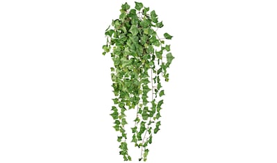 Creativ green Kunstranke »Englische Efeuranke«, (1 St.), hängender Efeu, ohne Topf kaufen