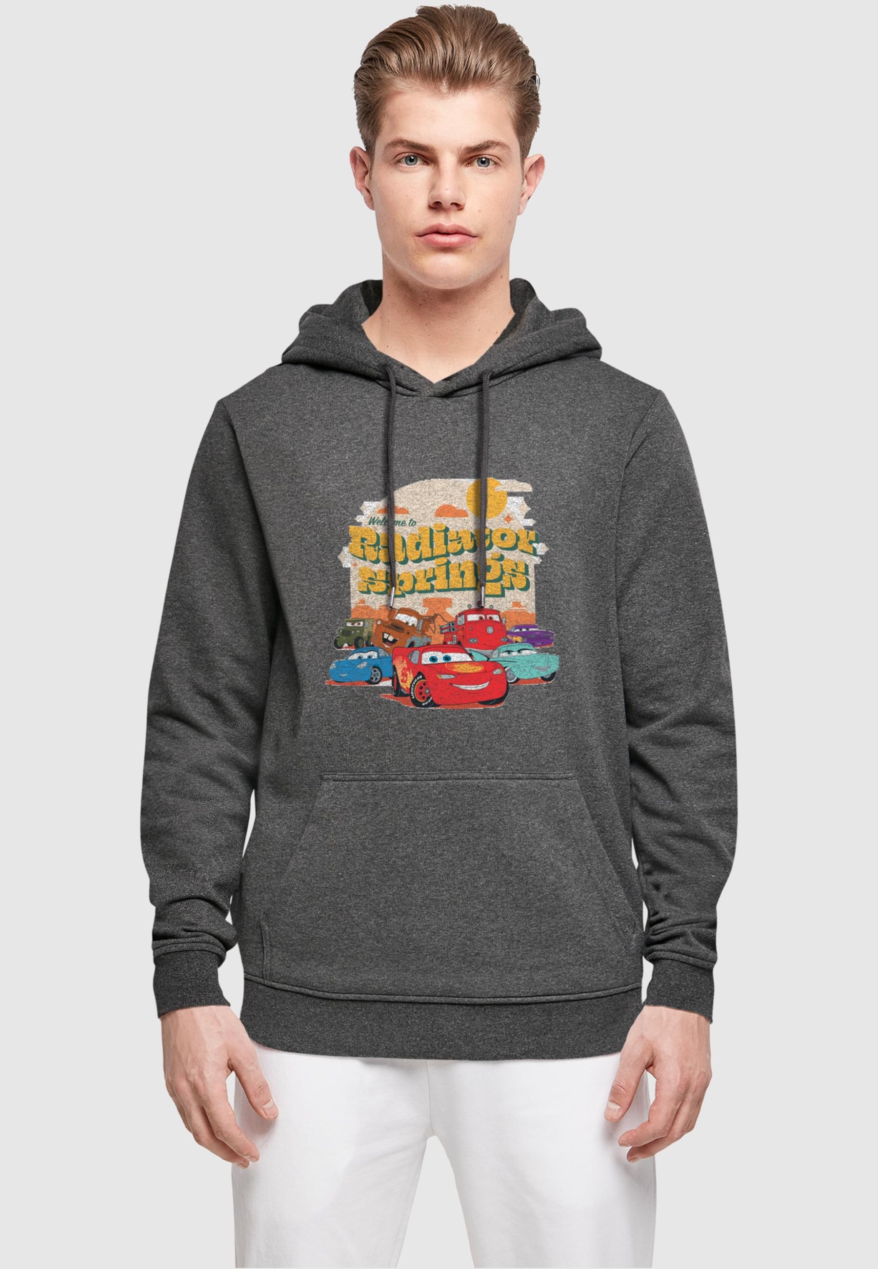 ABSOLUTE CULT Kapuzensweatshirt »ABSOLUTE CULT Herren Cars - Radiator Springs Group Basic Hoody«, (1 tlg.)