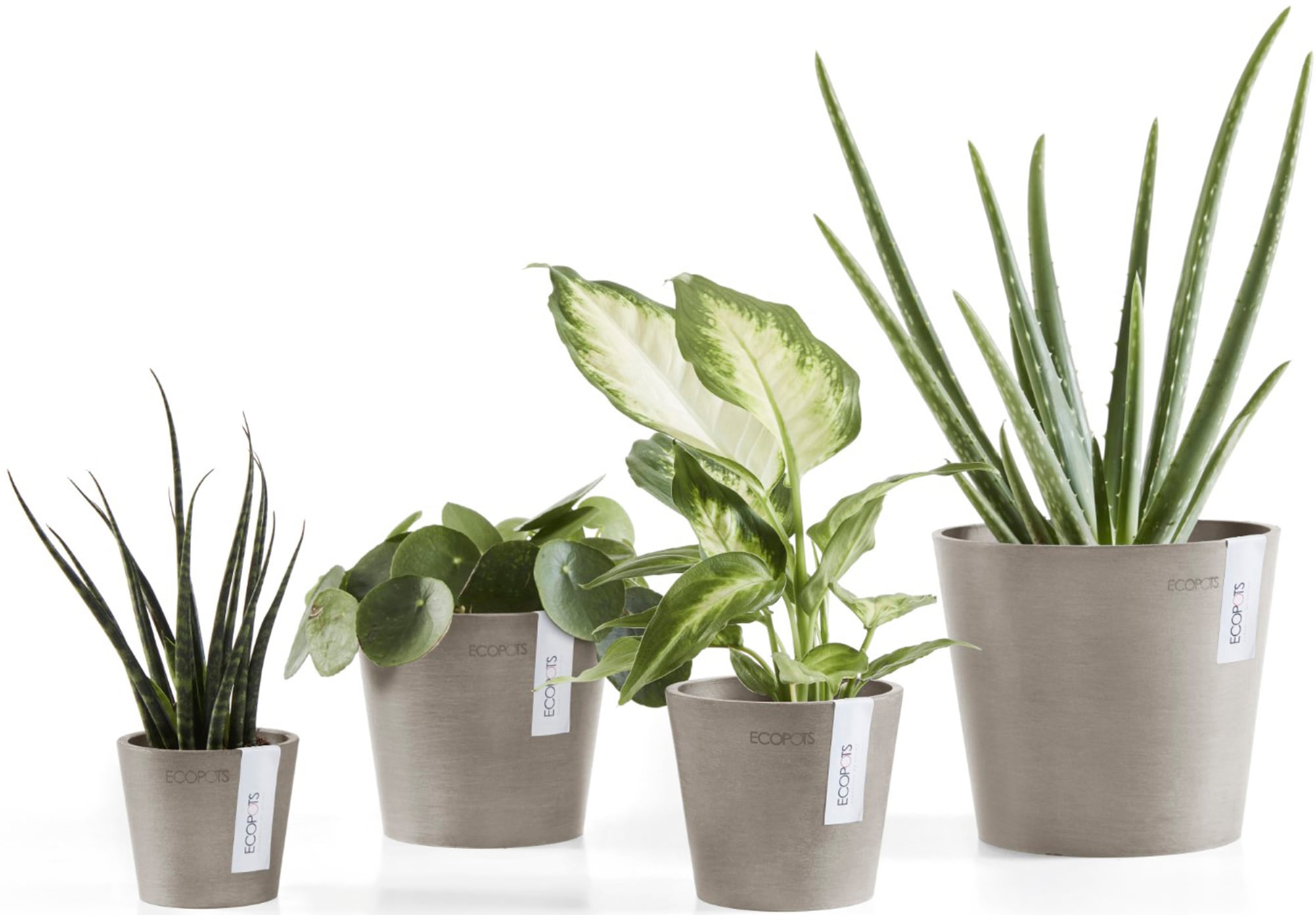 ECOPOTS Blumentopf »Amsterdam Mini 13 Taupe«, für den Innenbereich