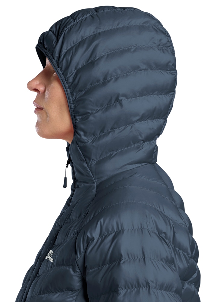 Jack Wolfskin Funktionsjacke »ROUTEBURN PRO INS JKT W«, mit Kapuze