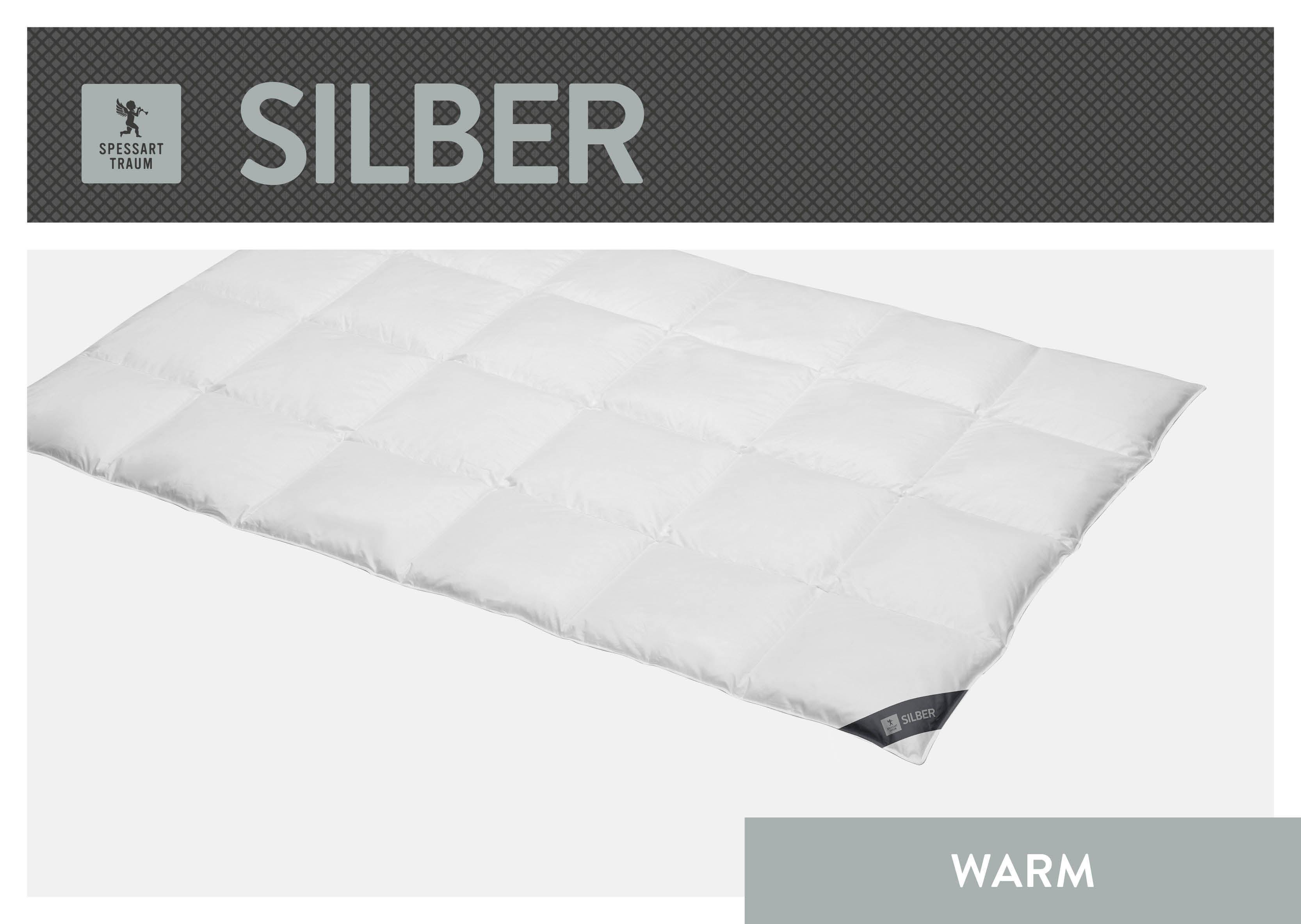 SPESSARTTRAUM Daunenbettdecke "Silber" warm Füllung 100% Daunen 1 Stk. tlg. hergestellt in Deutschland, allergikerfreundlich