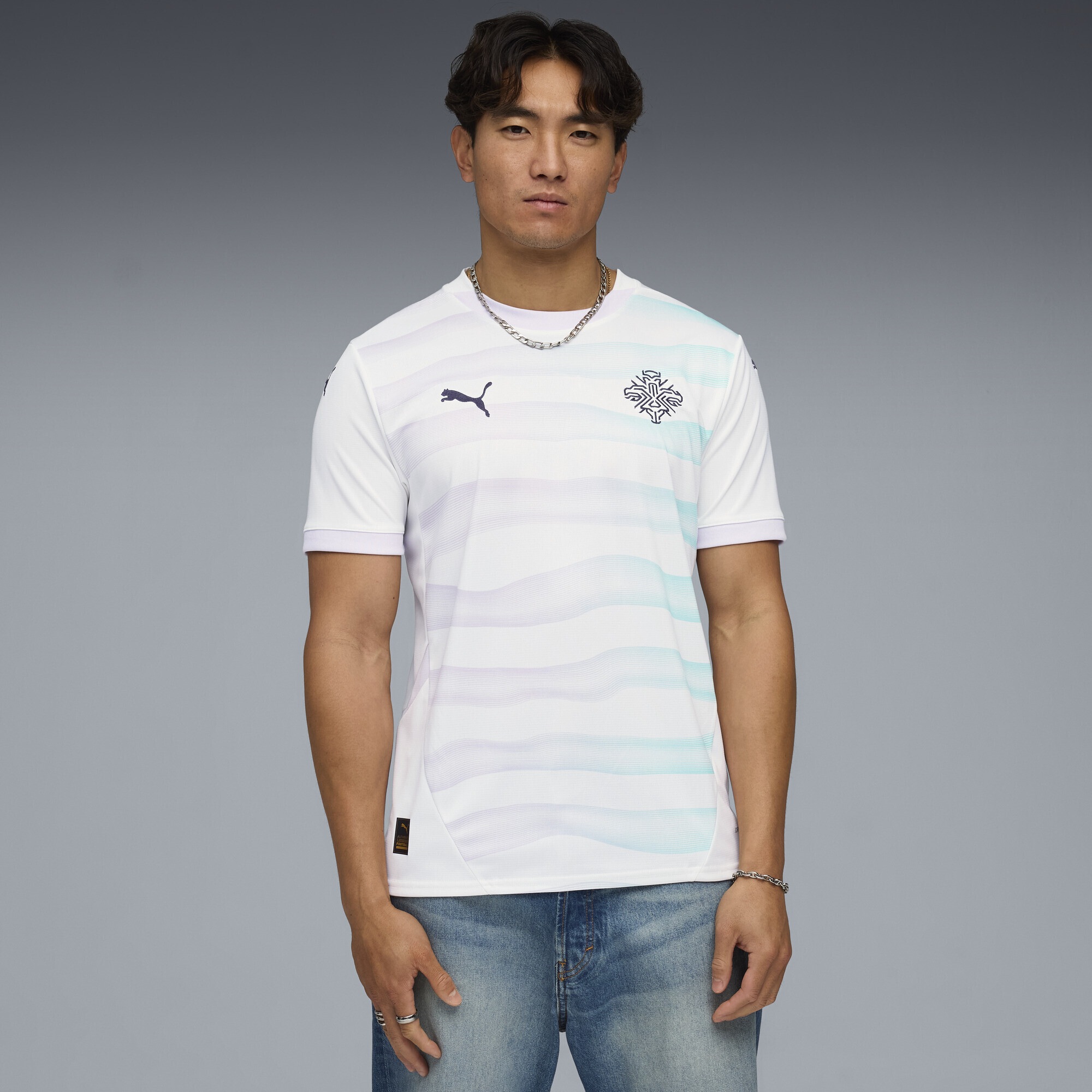 PUMA Trainingsshirt »Island Team 2025 Auswärtstrikot Herren«