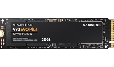 interne SSD »970 EVO Plus NVMe™ M.2 1 TB«